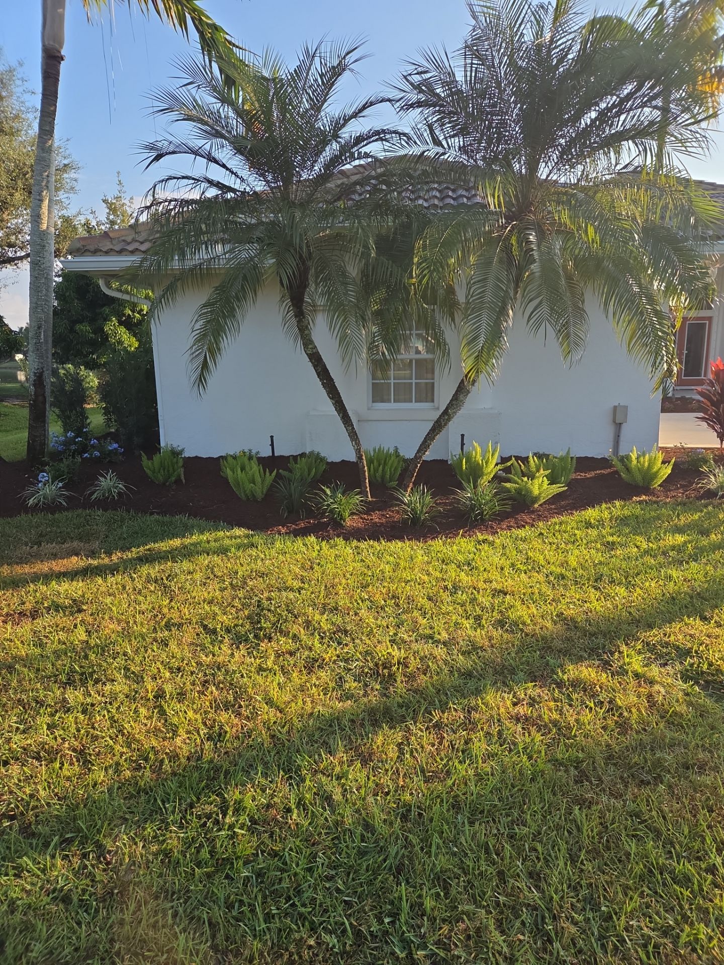 🌴 Landscape Removal and Install in Palm City by Alpha Zeta Enterprises Inc