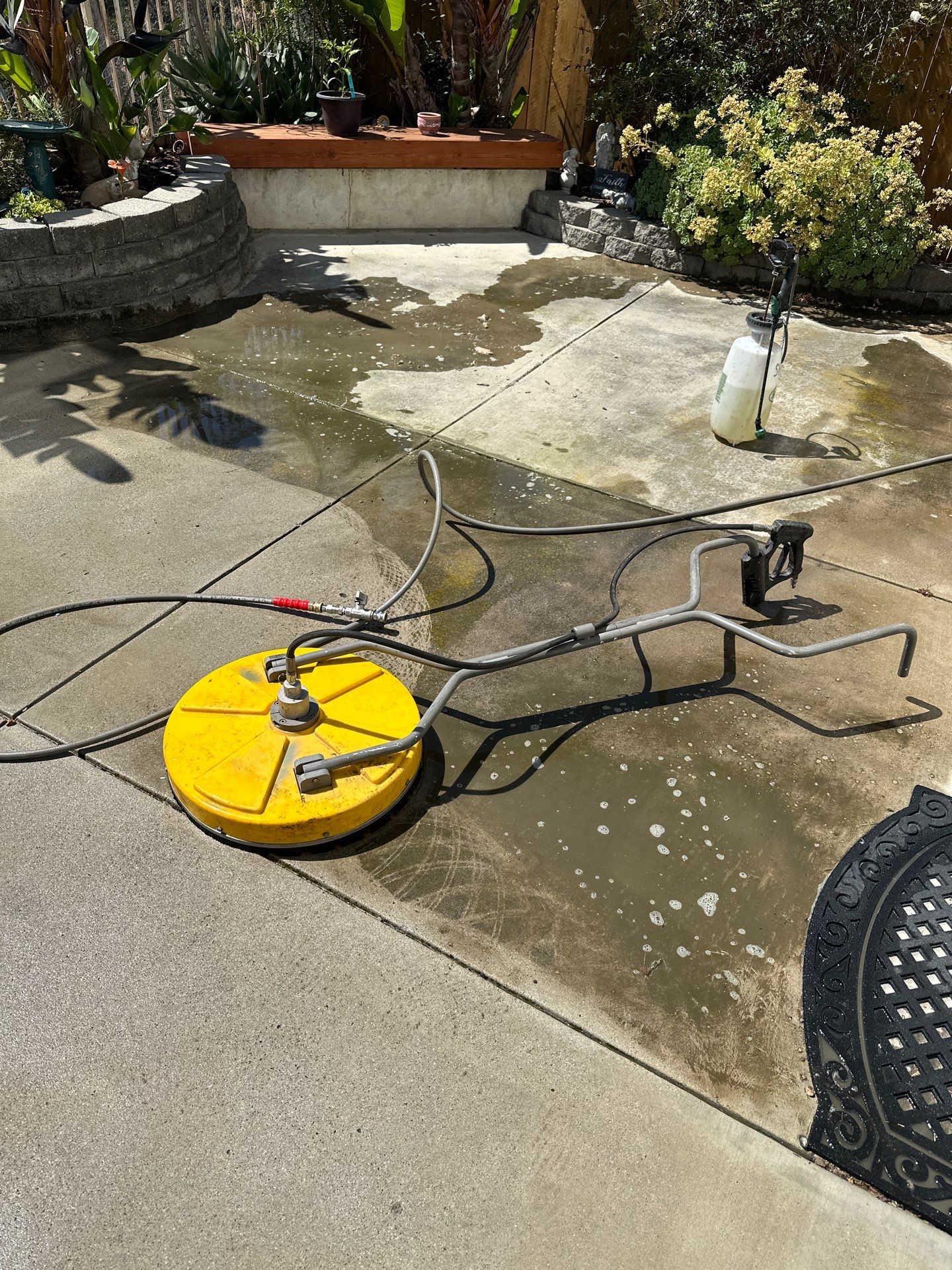 This home was COVERED in growth by Property Cleaning Experts, LLC