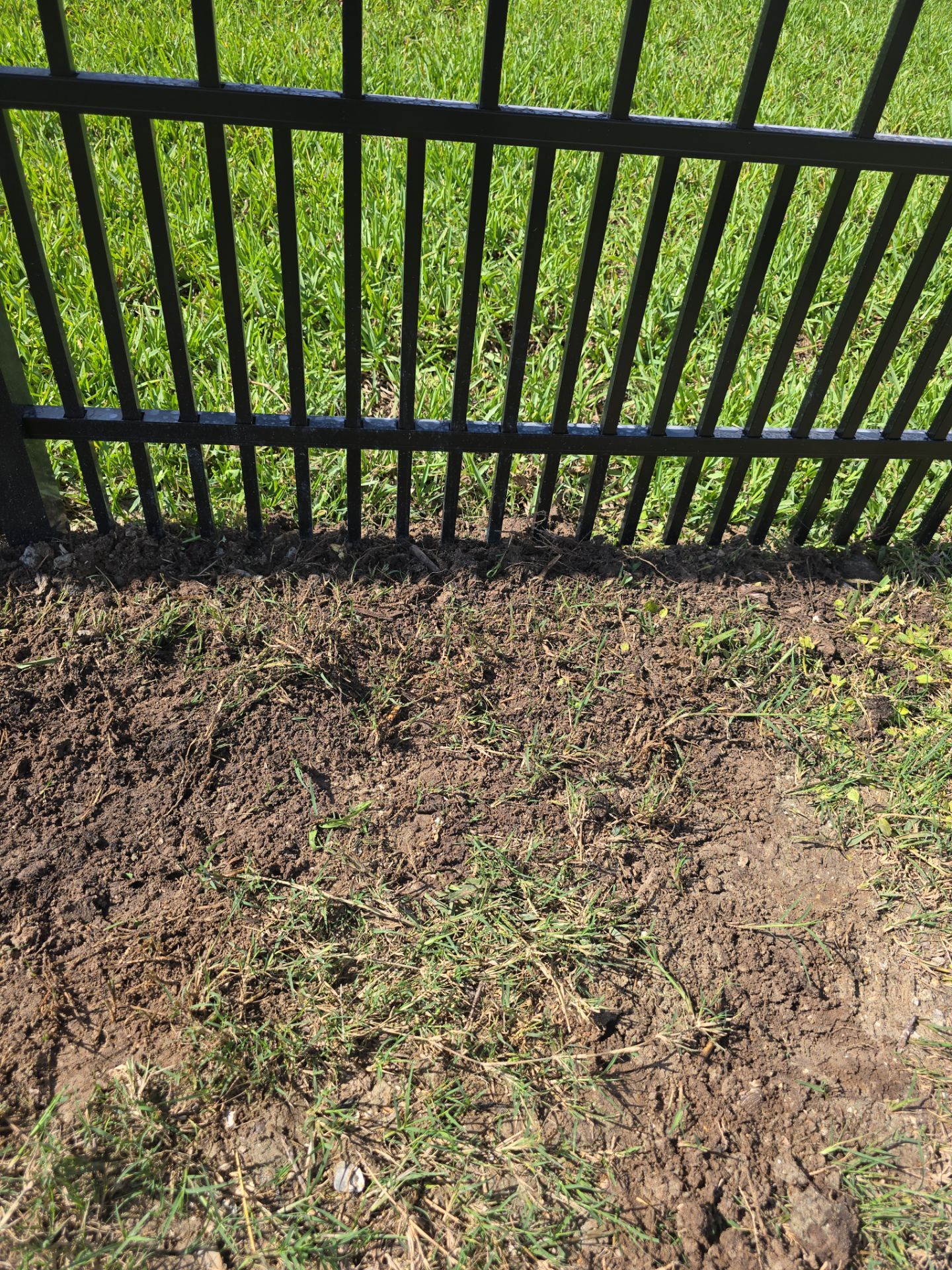 Puppy Picket Aluminum in Venice by True Fence LLC