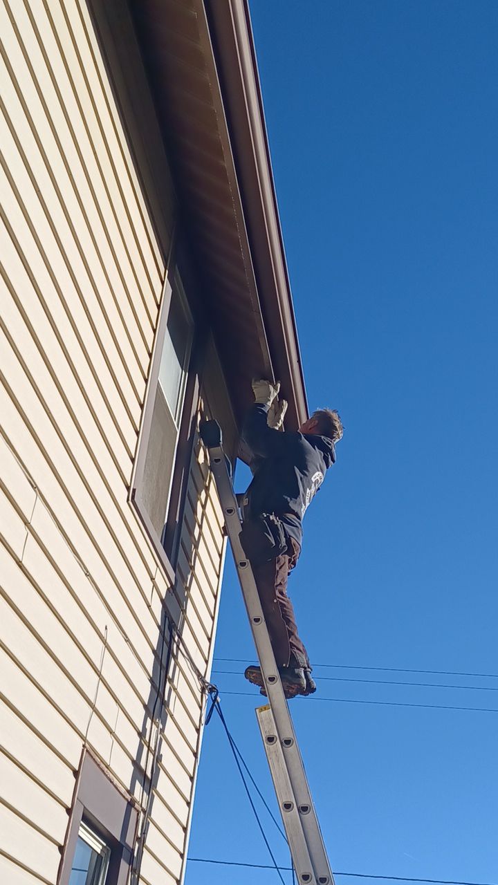 Fran Bush by Silver Leaf Contracting 