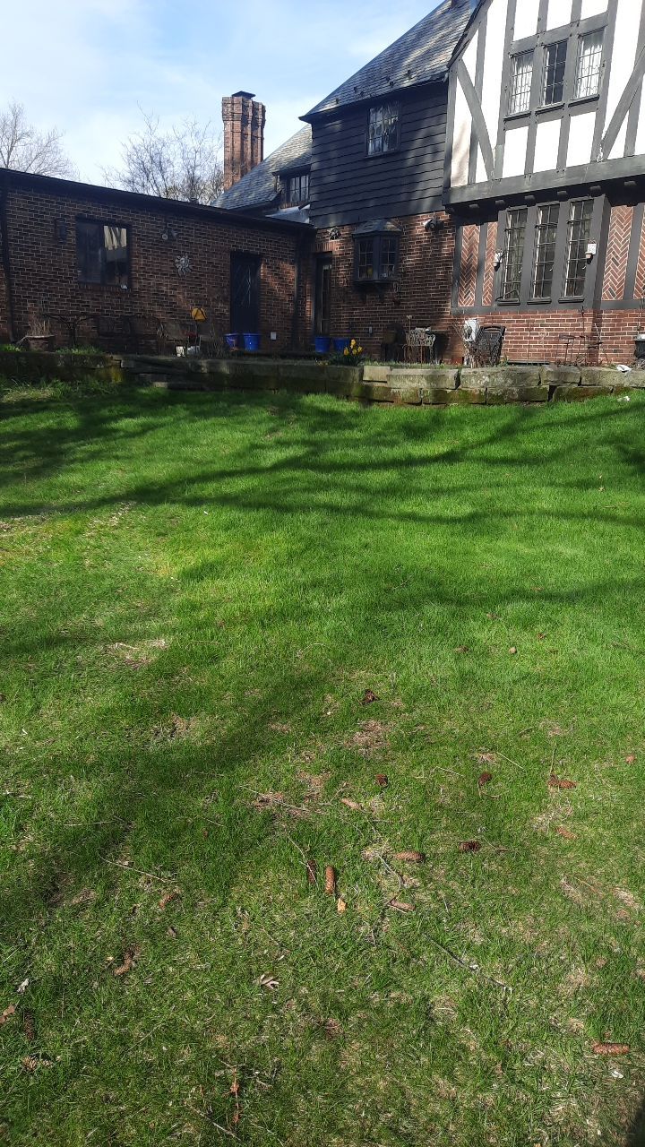 Tree Removal using Tree Removal by Mike Jones & Sons Tree Service LLC 