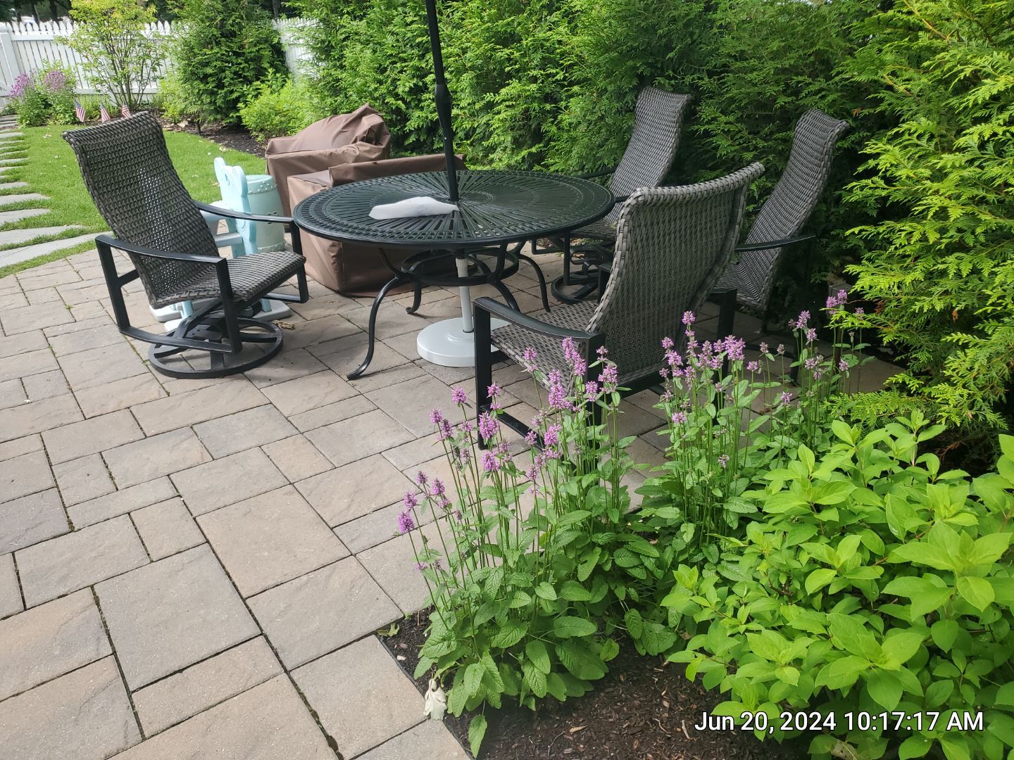 concrete cleaning using Algaecide, soft wash soap by Northern Power Washing LLC.
