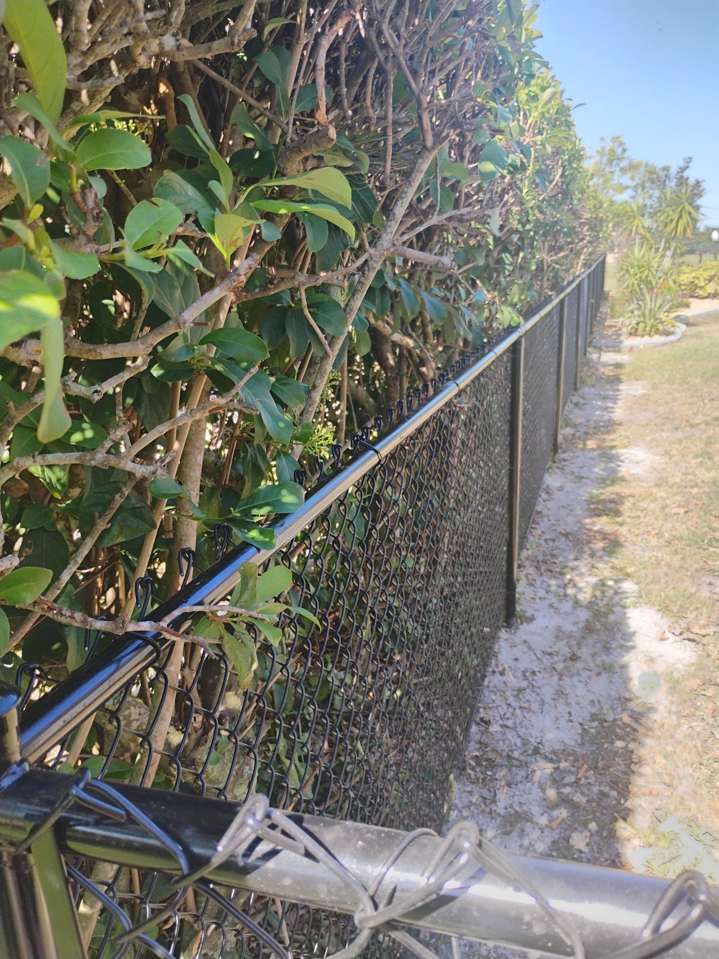 Chain Link Fence in Punta Gorda by True Fence LLC
