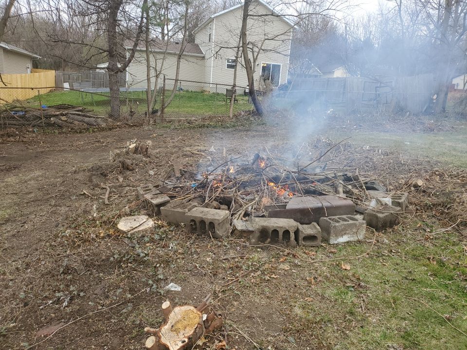 Tree Removal using Tree Removal by Mike Jones & Sons Tree Service LLC 