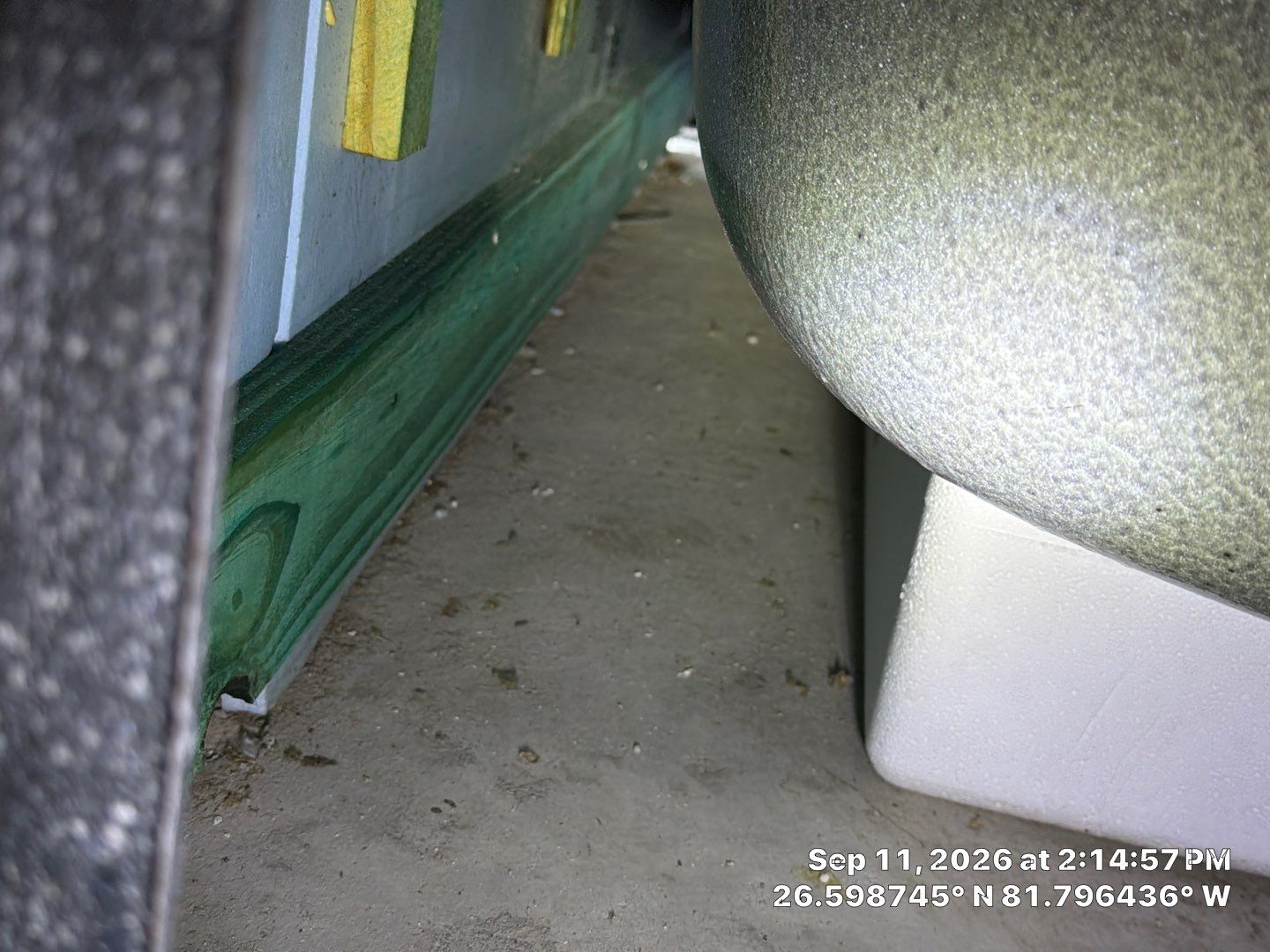 Fort Myers Water Damage Restoration and Professional Mold Remediation by Microscope