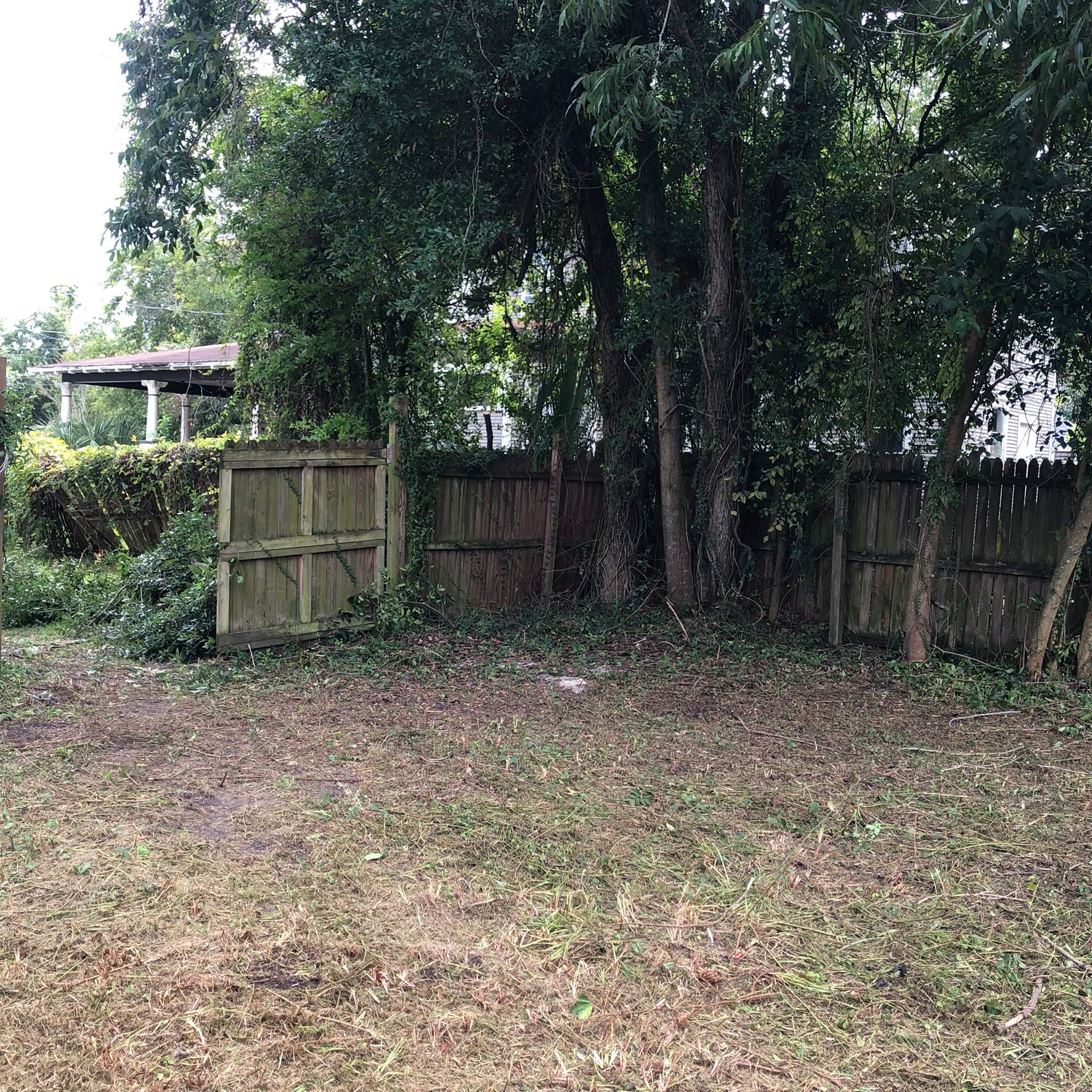 Extreme Clean Up | Riverside Area by ProGreen Services