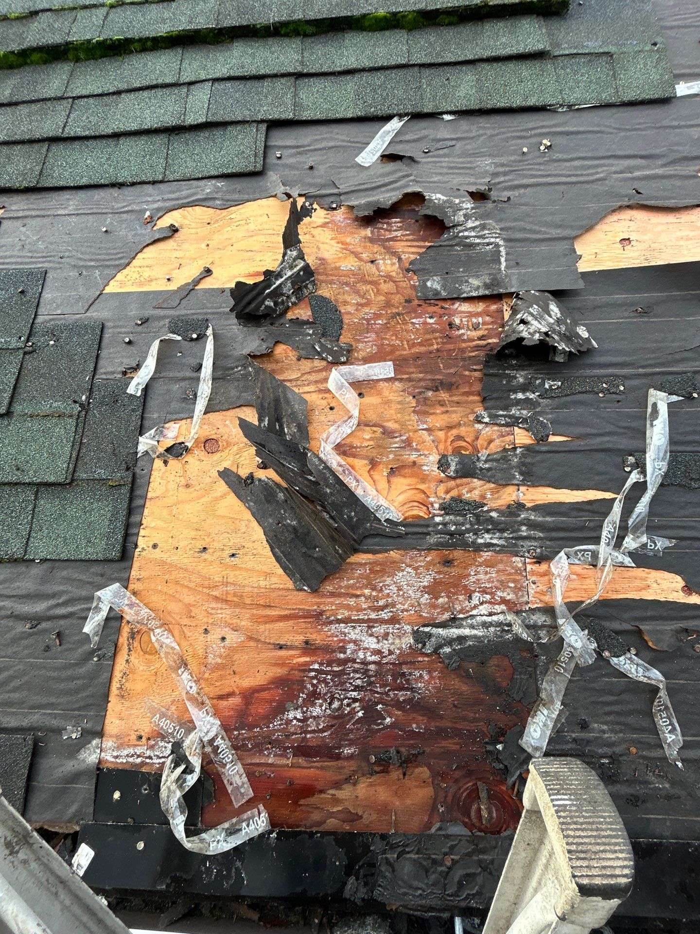 Project in Snohomish by Peaks and Valleys Construction