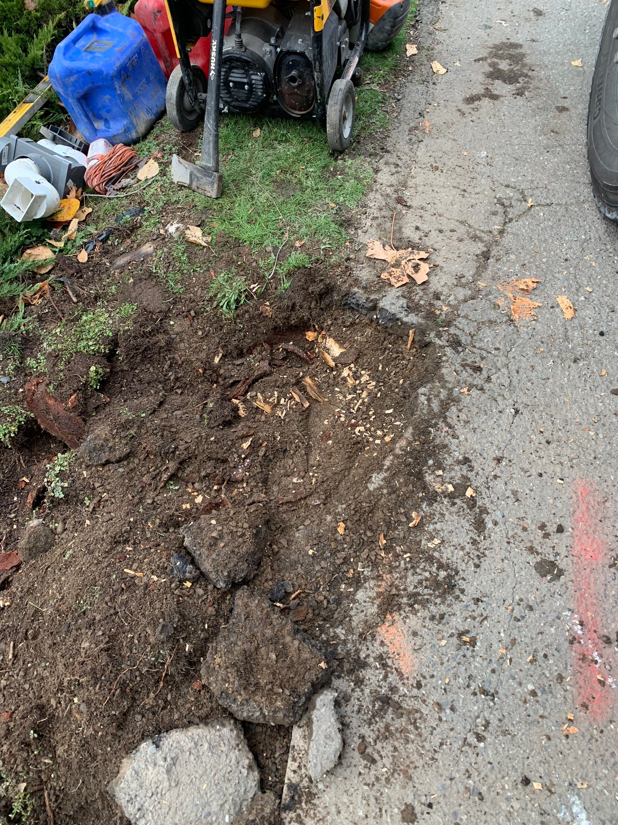 Raphil Haswega Concrete Driveway  by Jireh Asphalt & Concrete Inc 