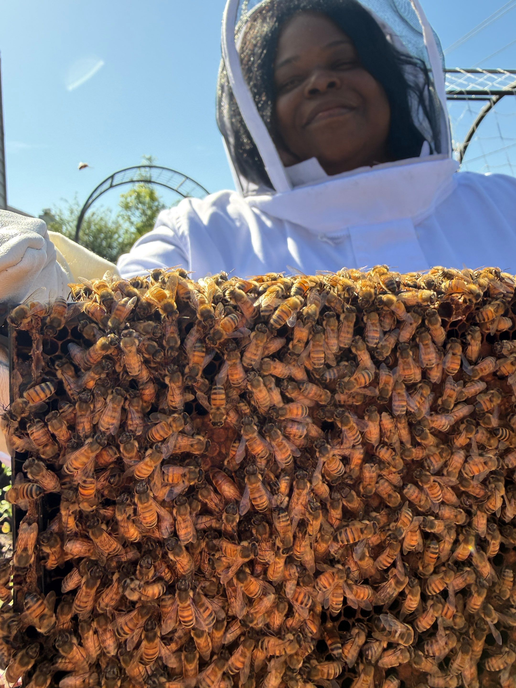 New beekeeper in Rowlett by Rockwall Honey Bee Company