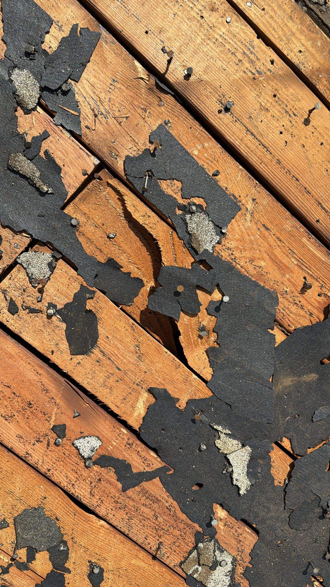 Roof Replacement - 12566 Mineola St by Epic Roof Replacement