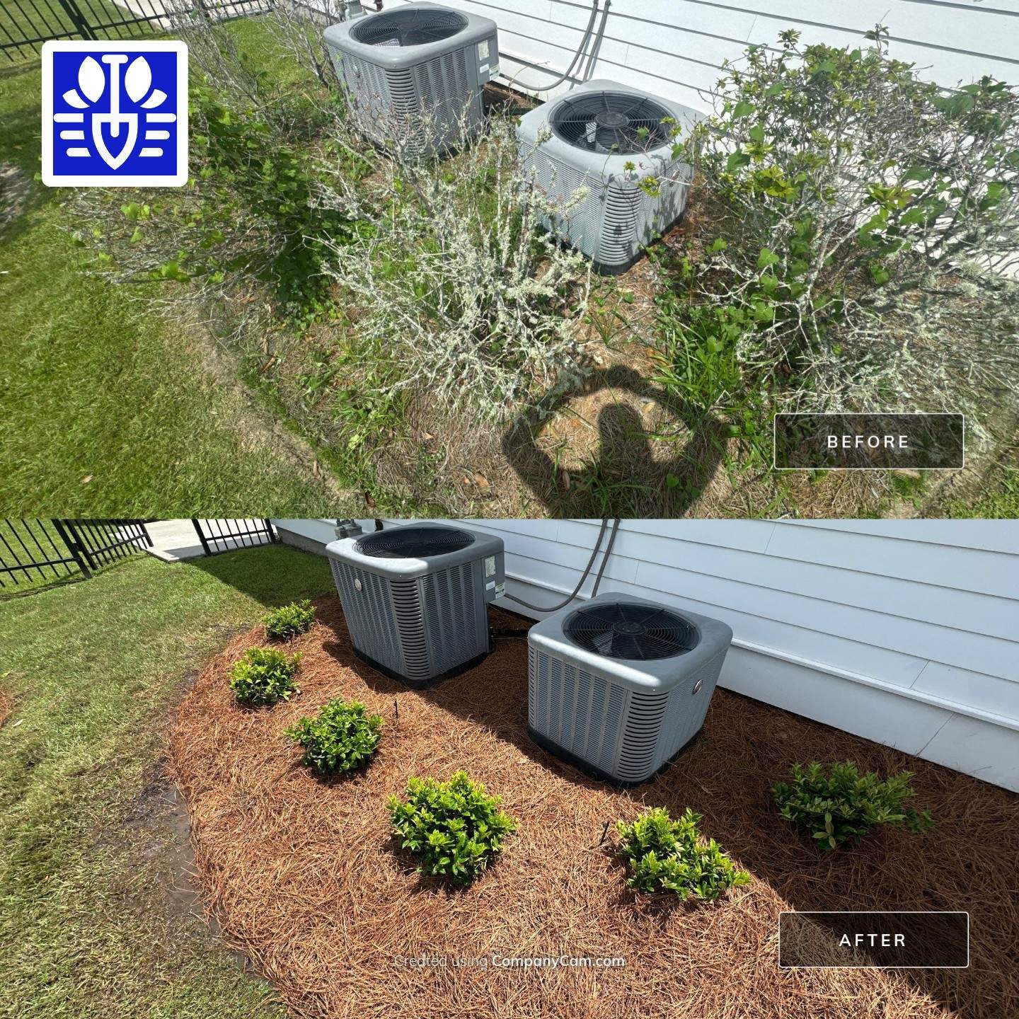 LANDSCAPE SERVICES: LANDSCAPE CLEANUP by CutScape, LLC.