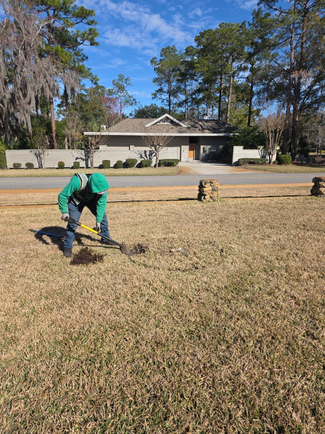 Deerwood Resident | Tree Install by ProGreen Services
