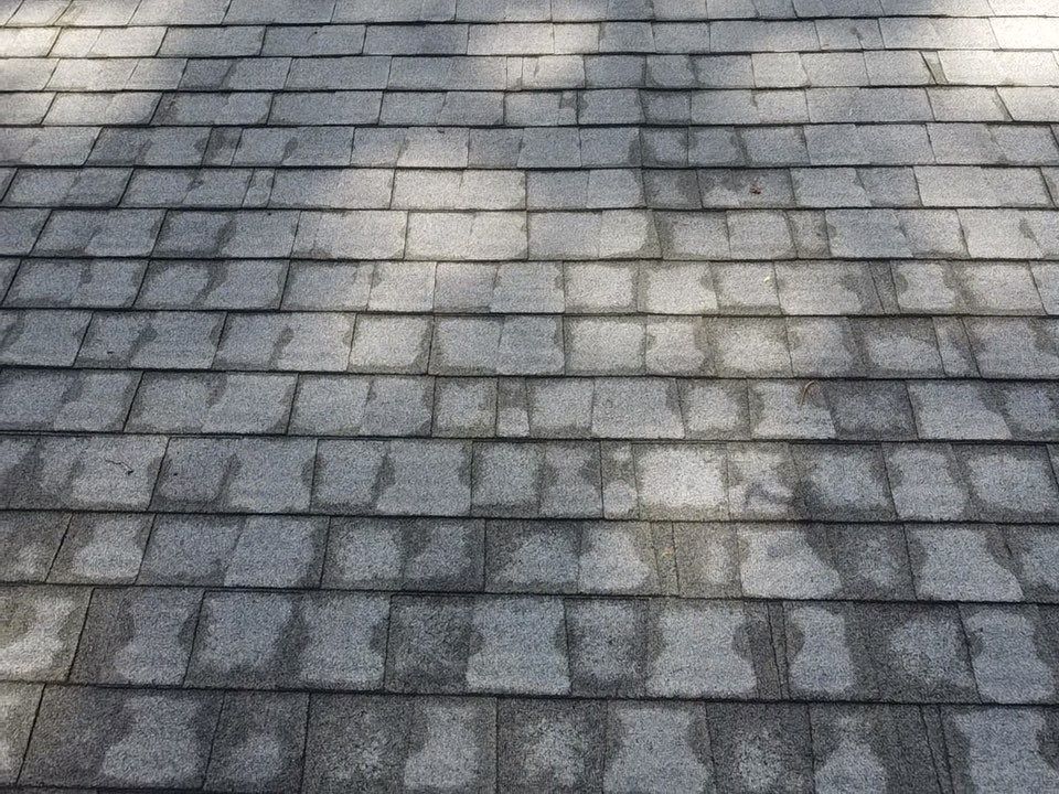 Project in Louisa by Roof Maxx of Midlothian