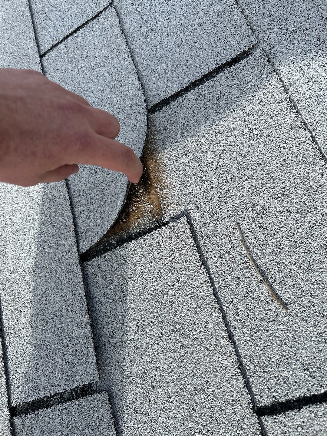 Penny's Full Re-roof by All Storm Roofing & Construction