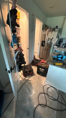 Black Mold Removal — Fort Myers, FL