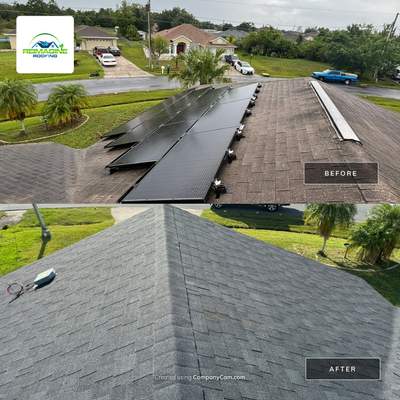 Estate Gray Shingles