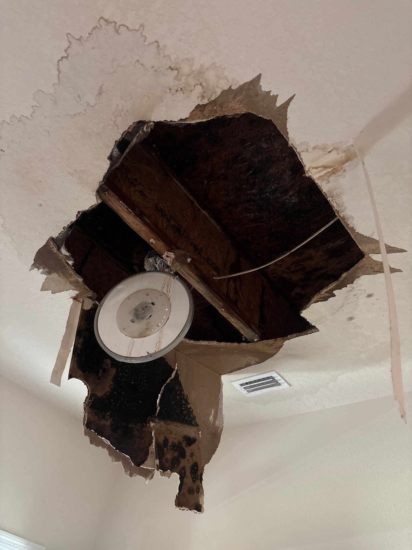Water Damage Repair In Ellenton, FL by Ampm Restoration Services