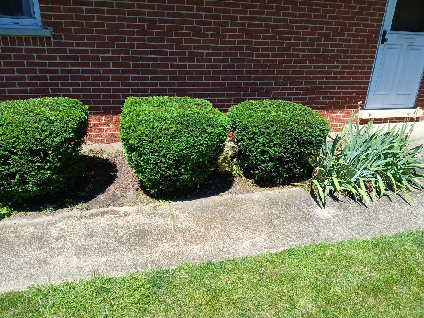 Martha C. - Mount Prospect, IL by A&N 