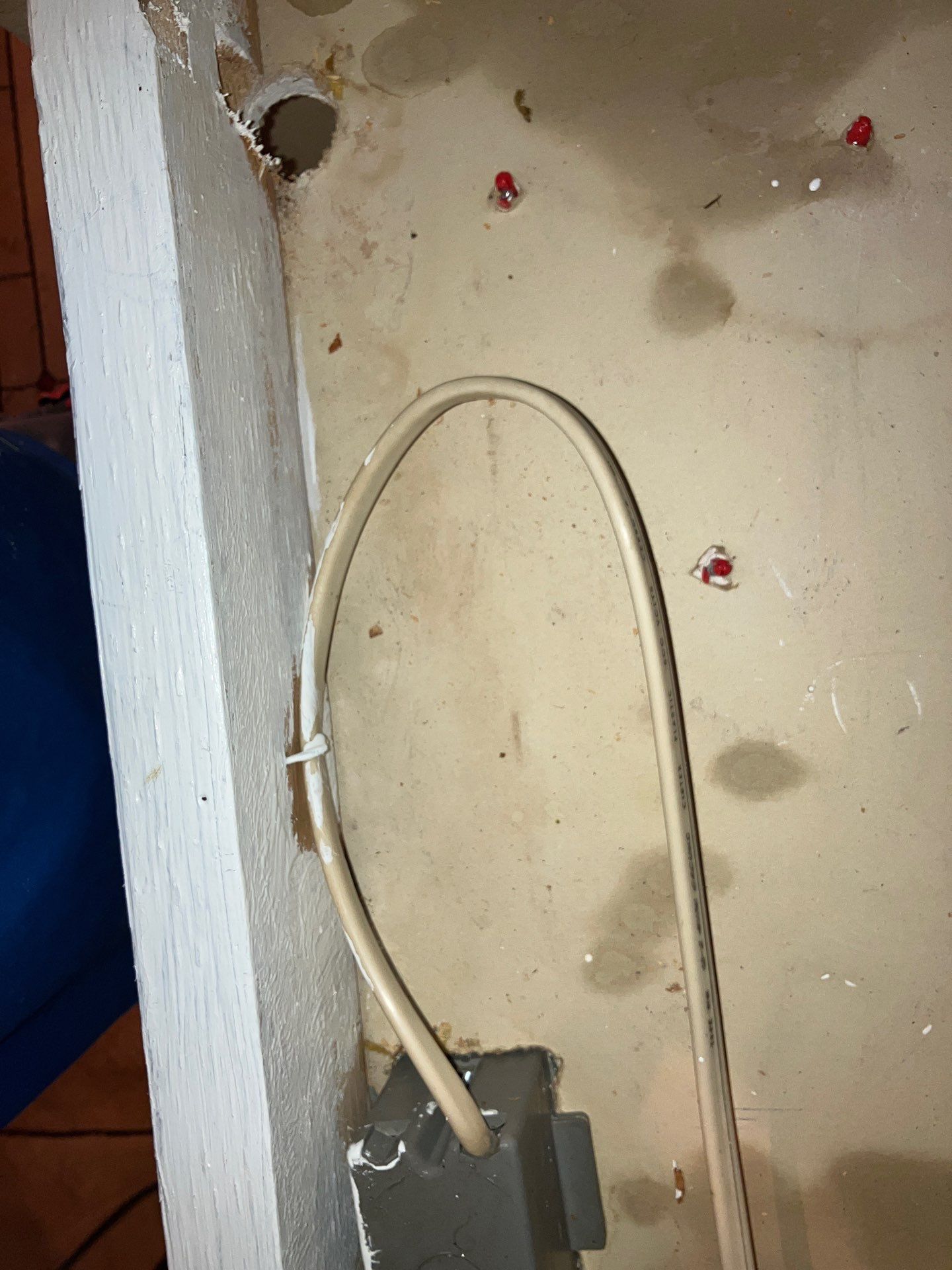Bradenton Mold Remediation by Ampm Restoration Services