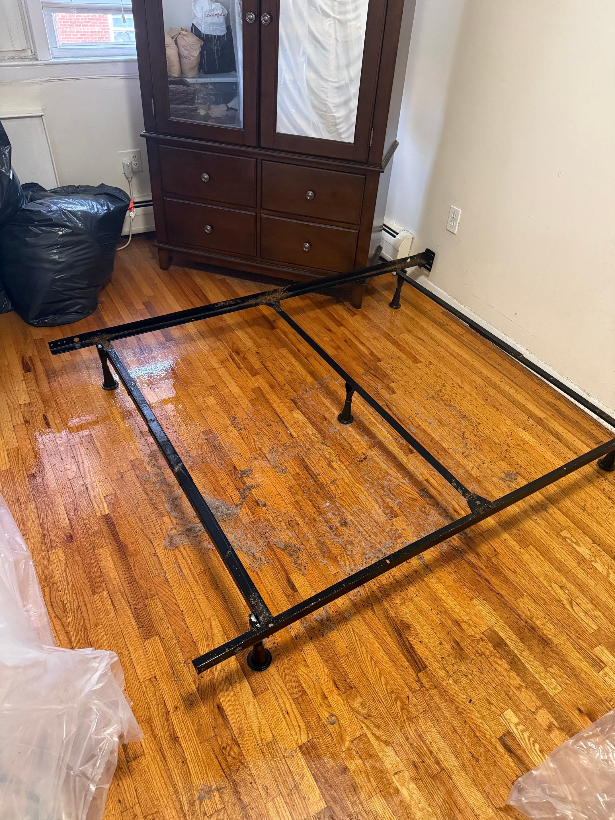 Ace Bedbug Exterminating NYC featured photo.