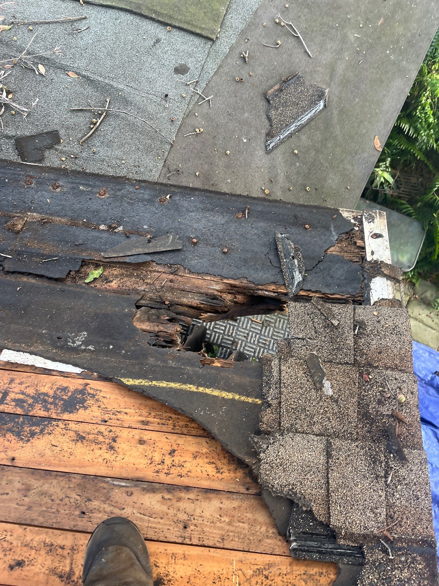 Project in St. Petersburg 33713 by Mitchell Roofing Company LLC 