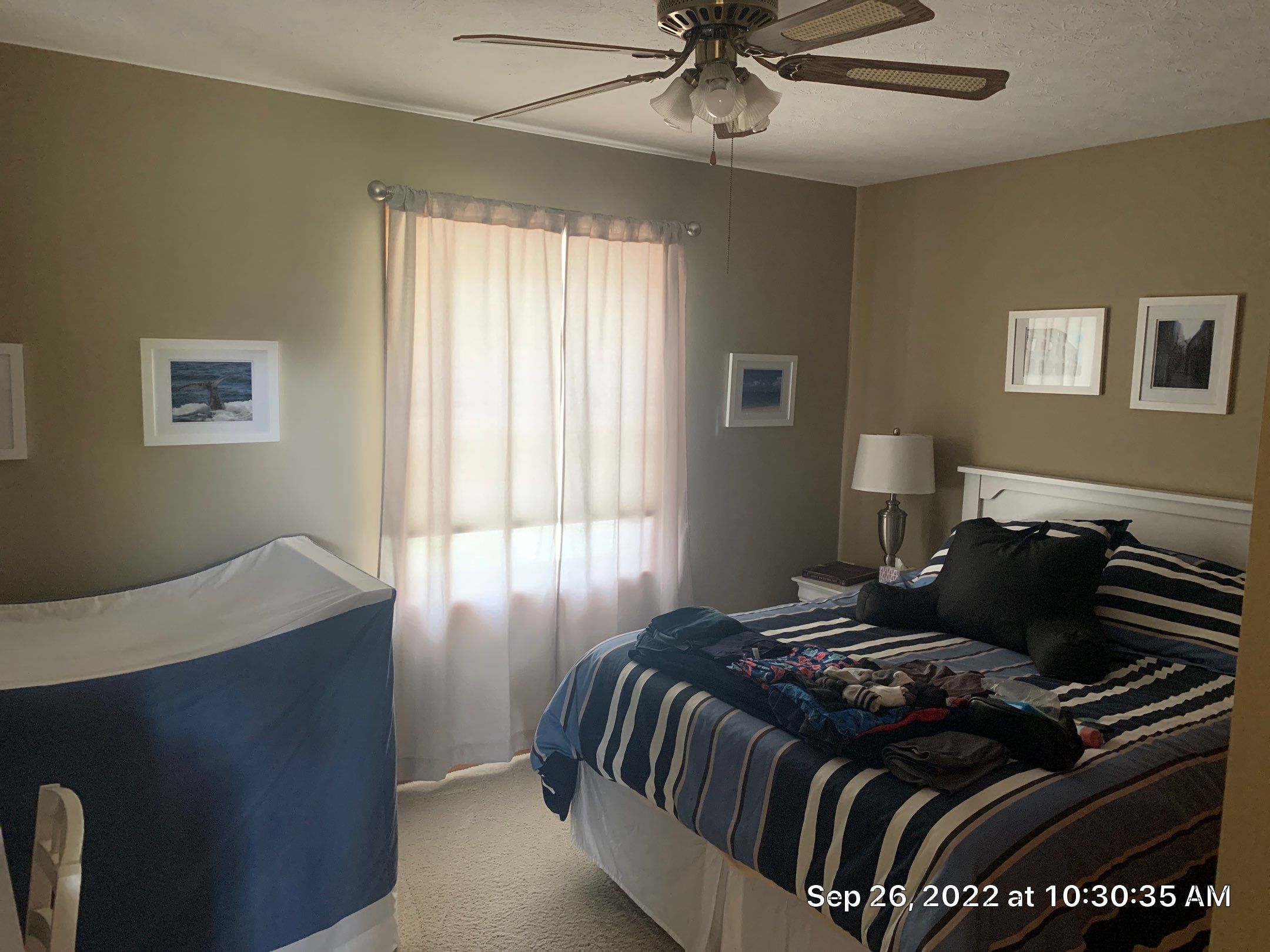 Natural to Freshly Painted by Best Buy Painting