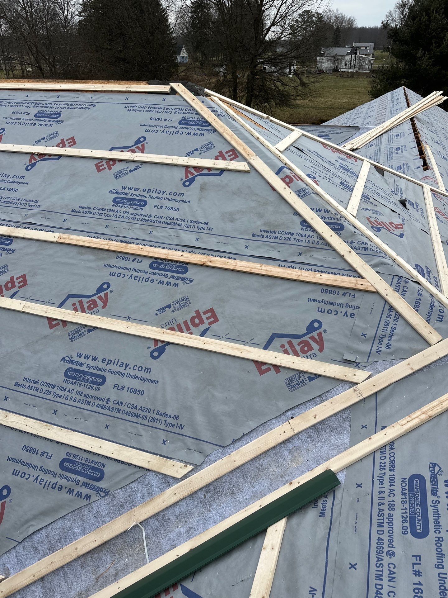 Alpha Rib, Color: Forest Green by Eagle Eye Roofing