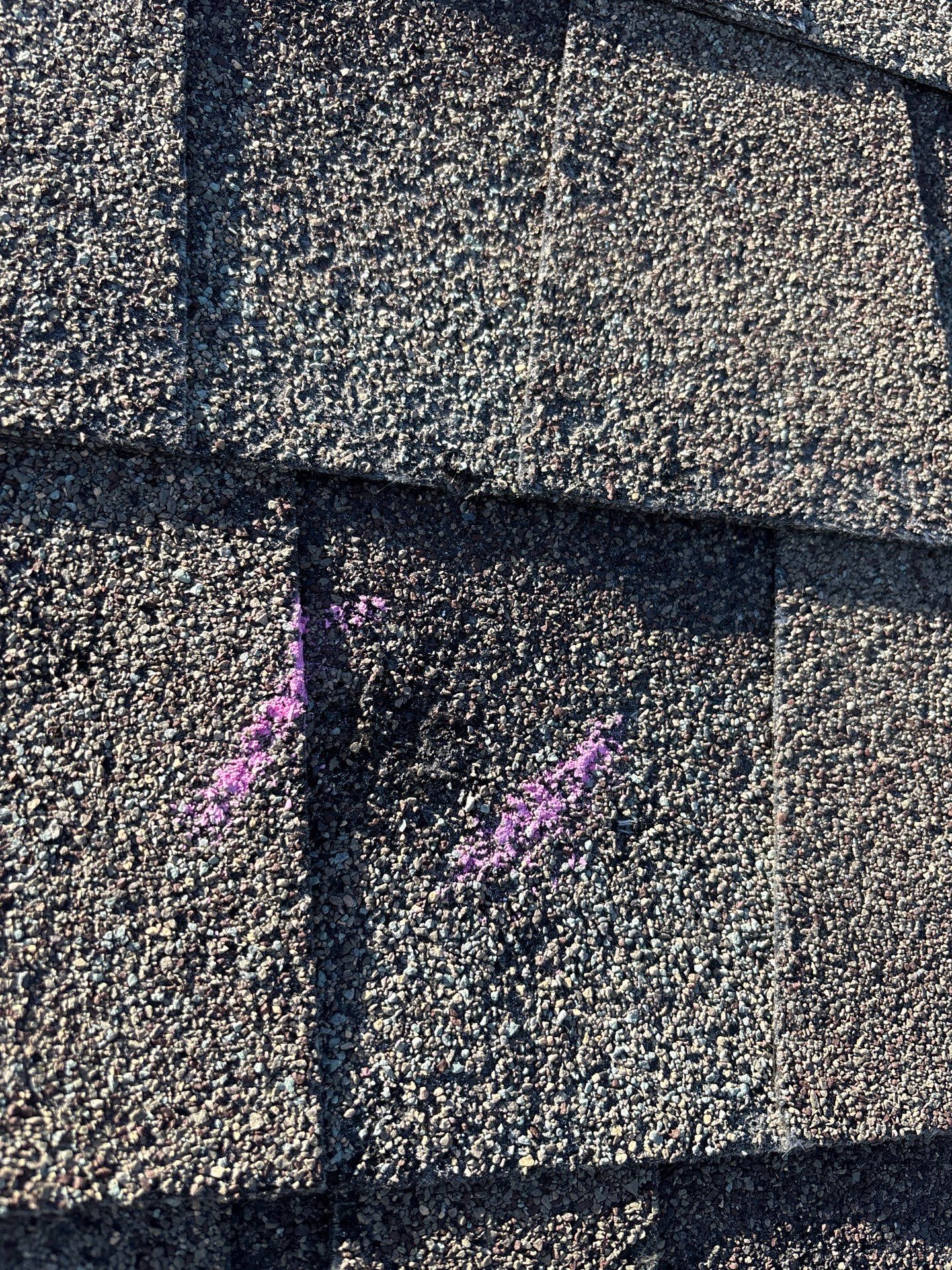 DAN L by Boss Hogg Roofing