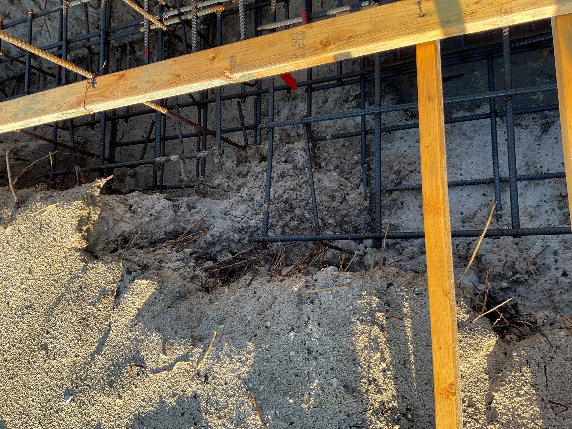 TRACTOR SUPPLY NAPLES by Southern Gulf Construction