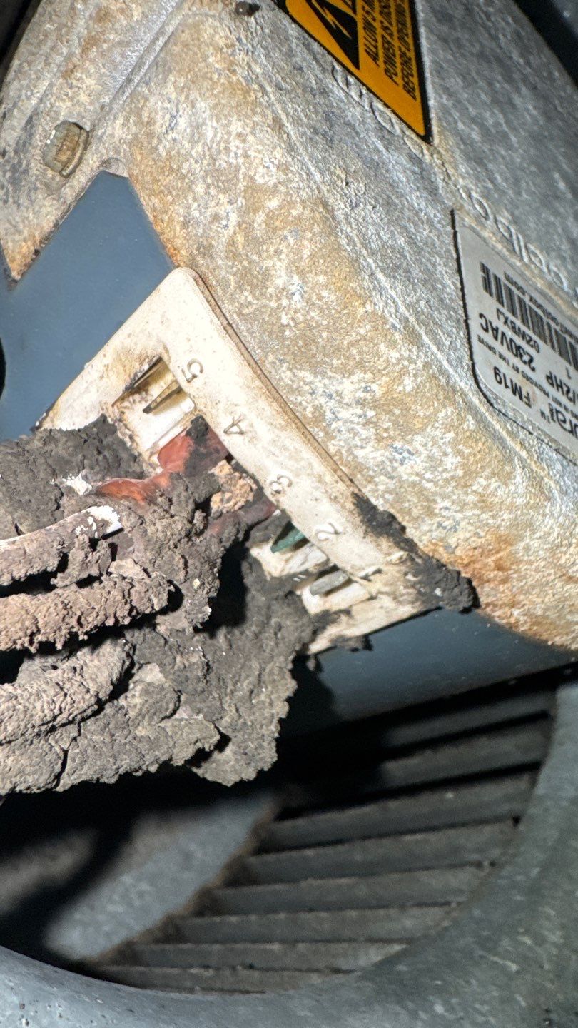 Extremely Dirty Air Duct Cleaning in Fruitland Park by Hygienic Air, Inc