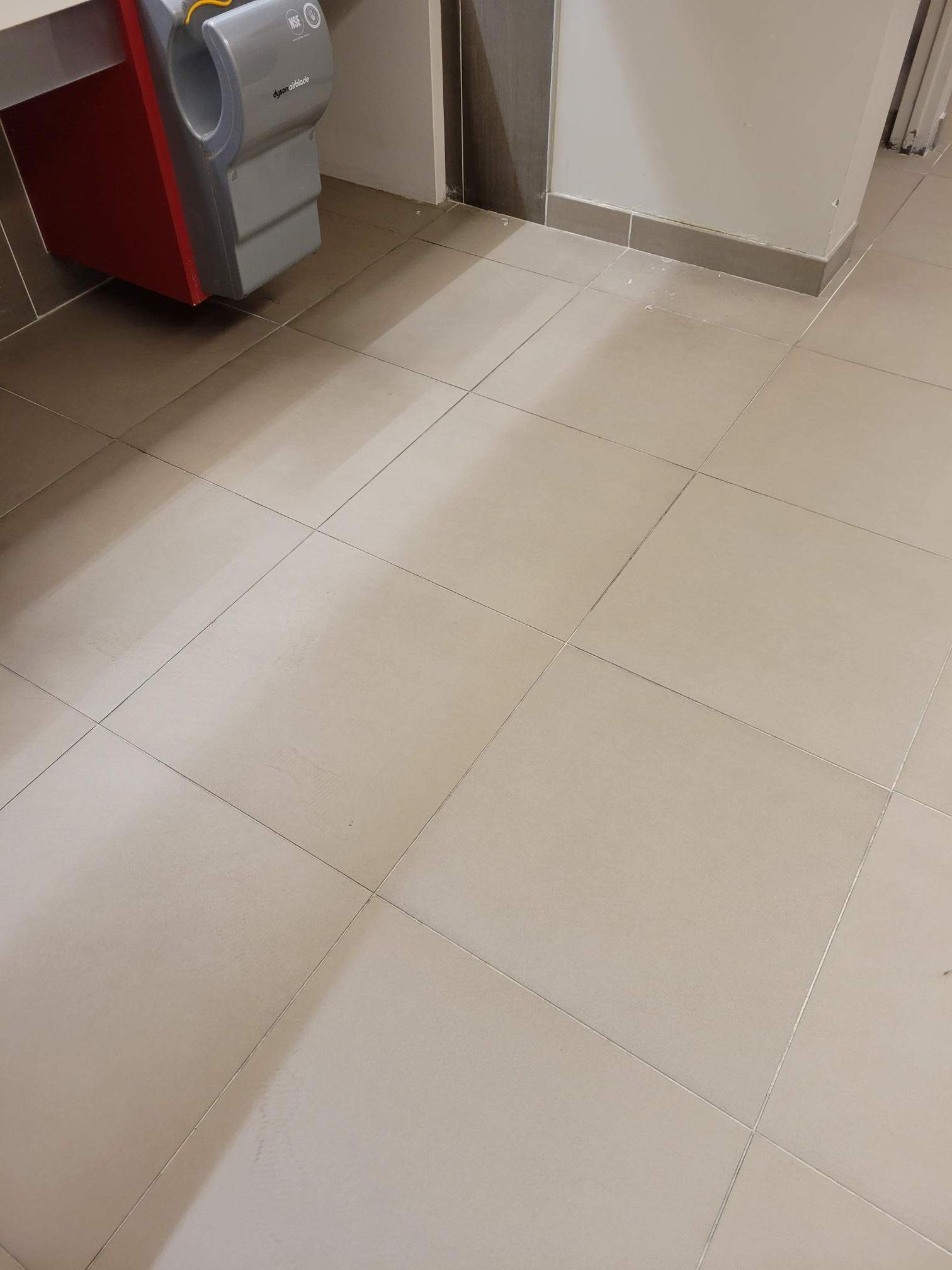 SaniGlaze Removal and reconditioning using CareGuard by Corporate Care