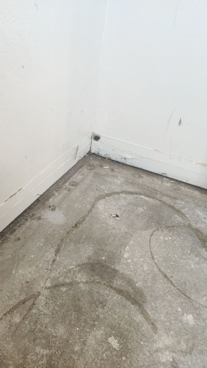 Mold Remediation by Accountable Home Services