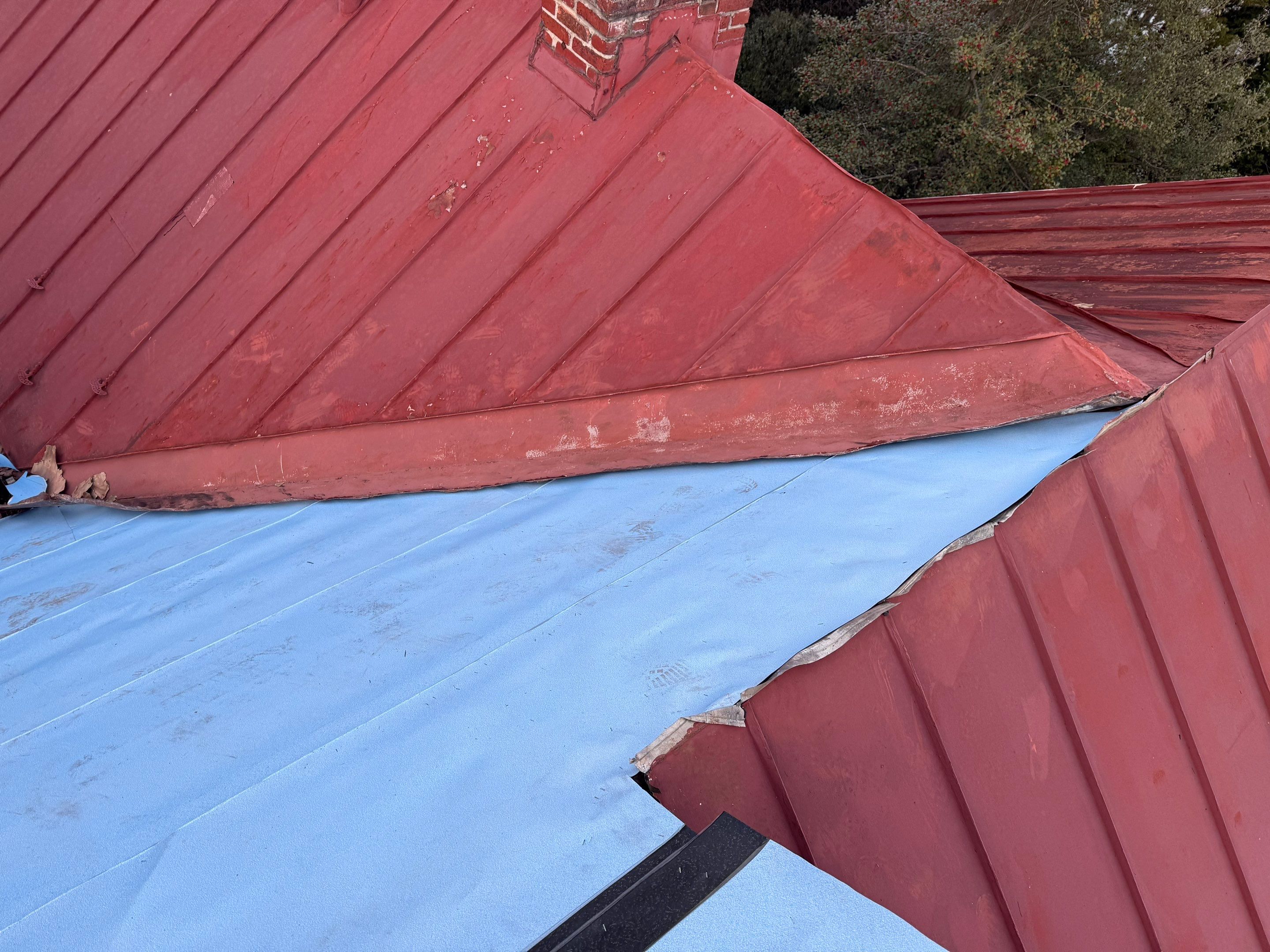 Alexandra: Residential Metal Roofing  by RM Banning, Inc.