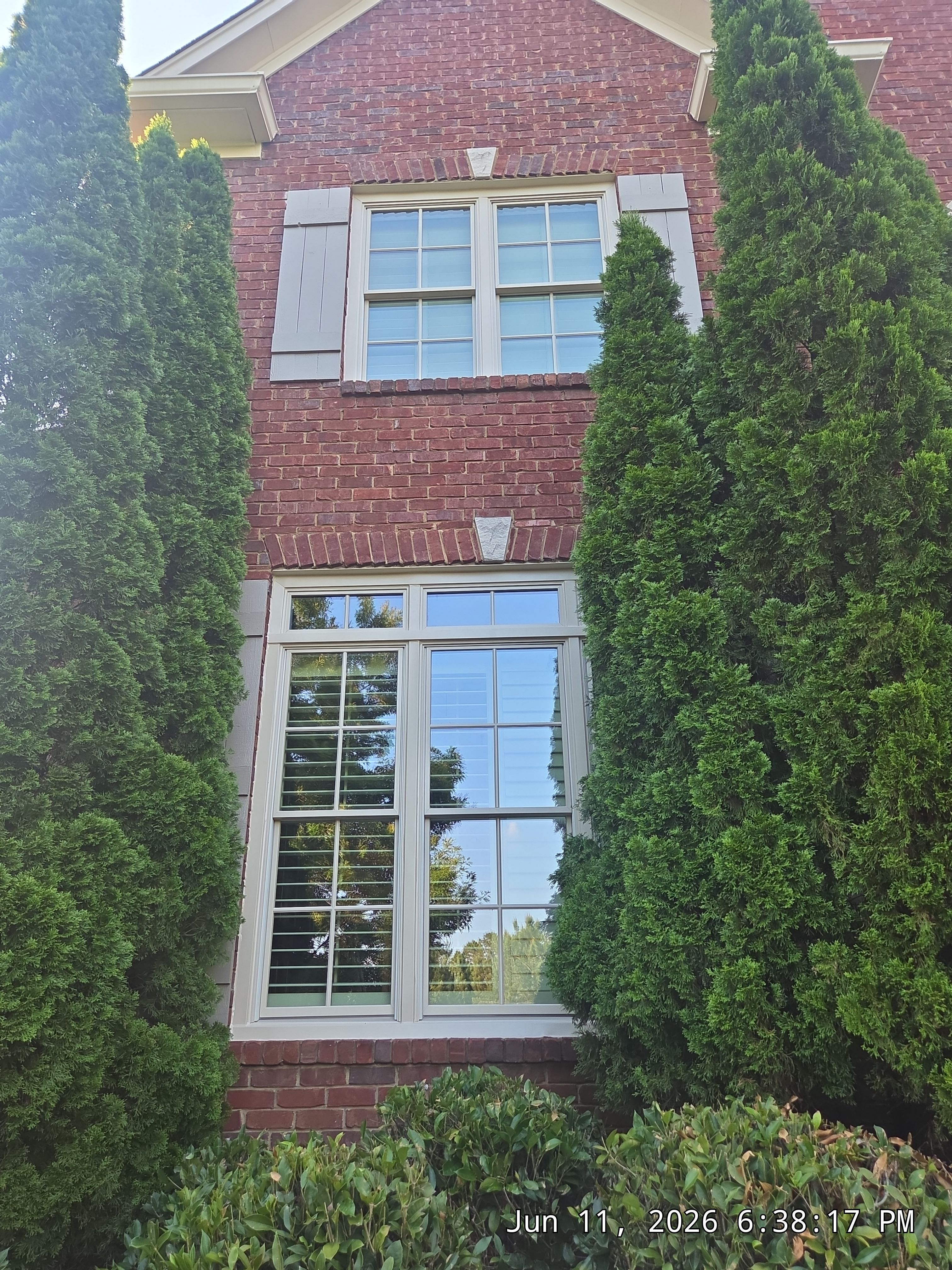 Zwiebel Project in Hoover by The Window Source