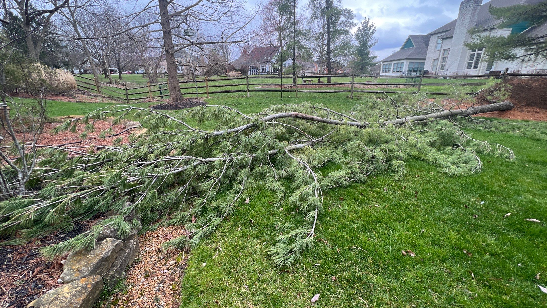 Storm Damage Tree Removal by Reisenberg’s Lawn & Landscape, LLC