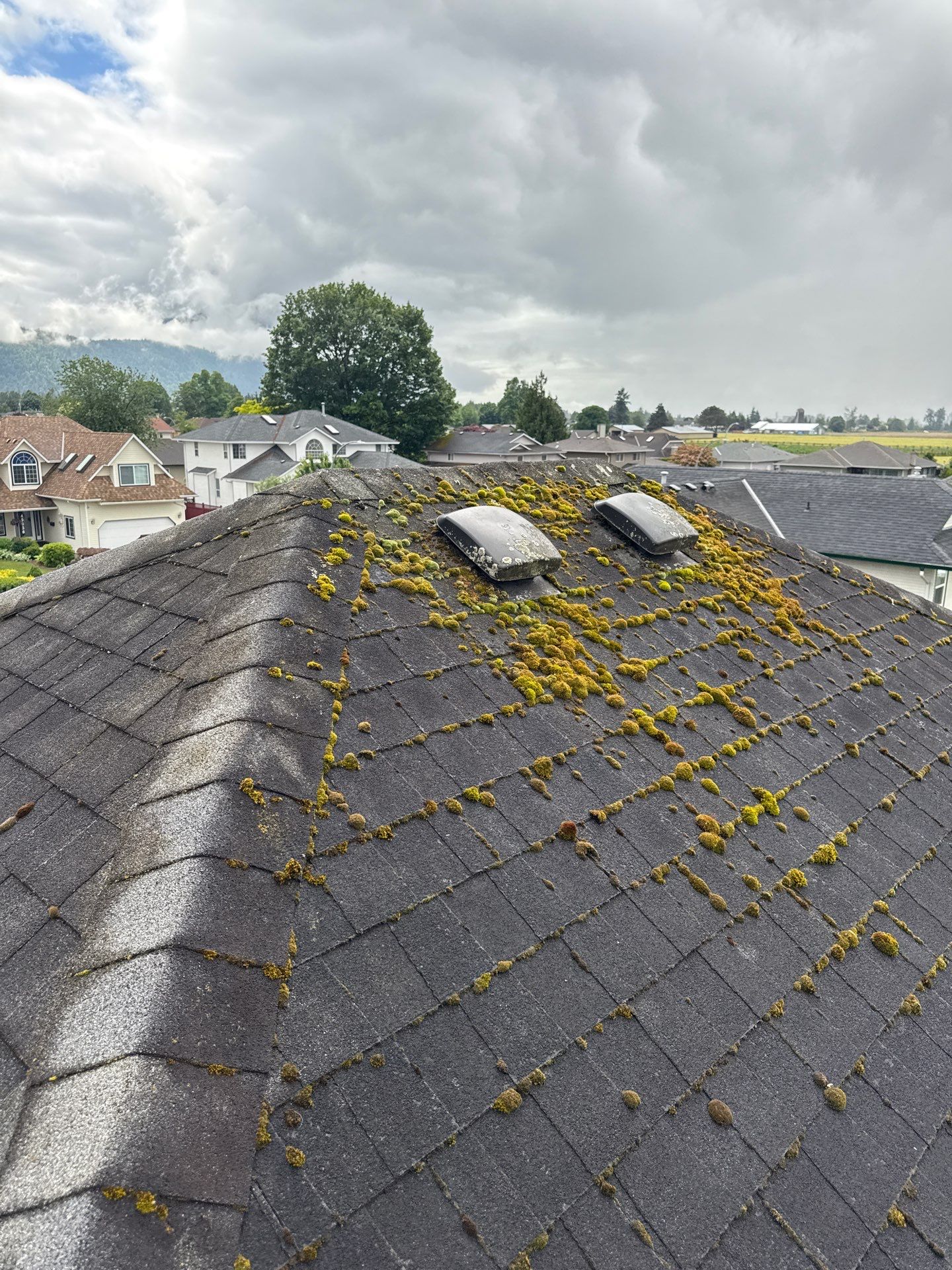 Residential Reroof Shingle by Top Notch Roofing Inc