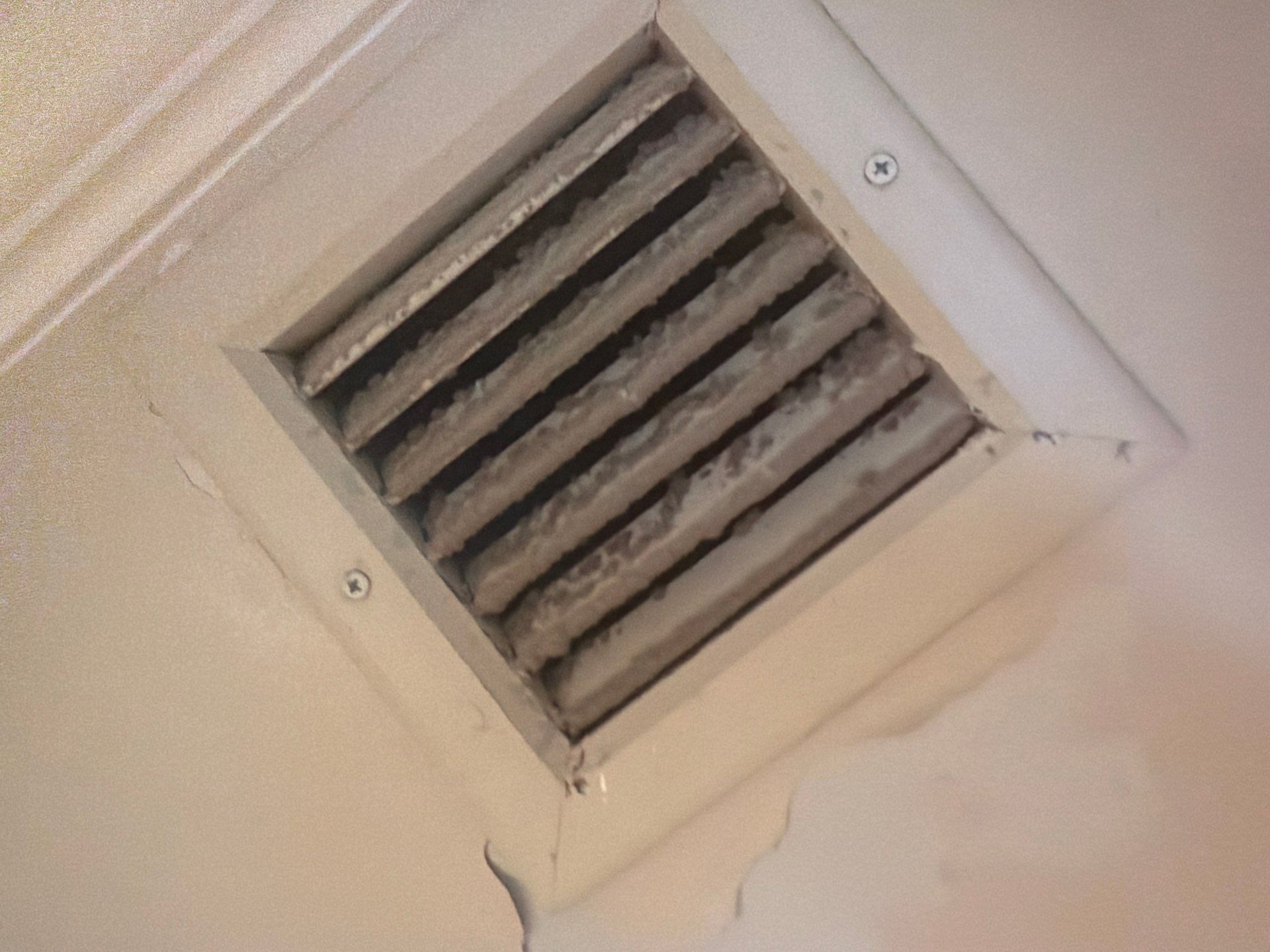 Residential Mold Remediation and Interior Moisture Damage Assessment in Palm Beach by SuperClean
