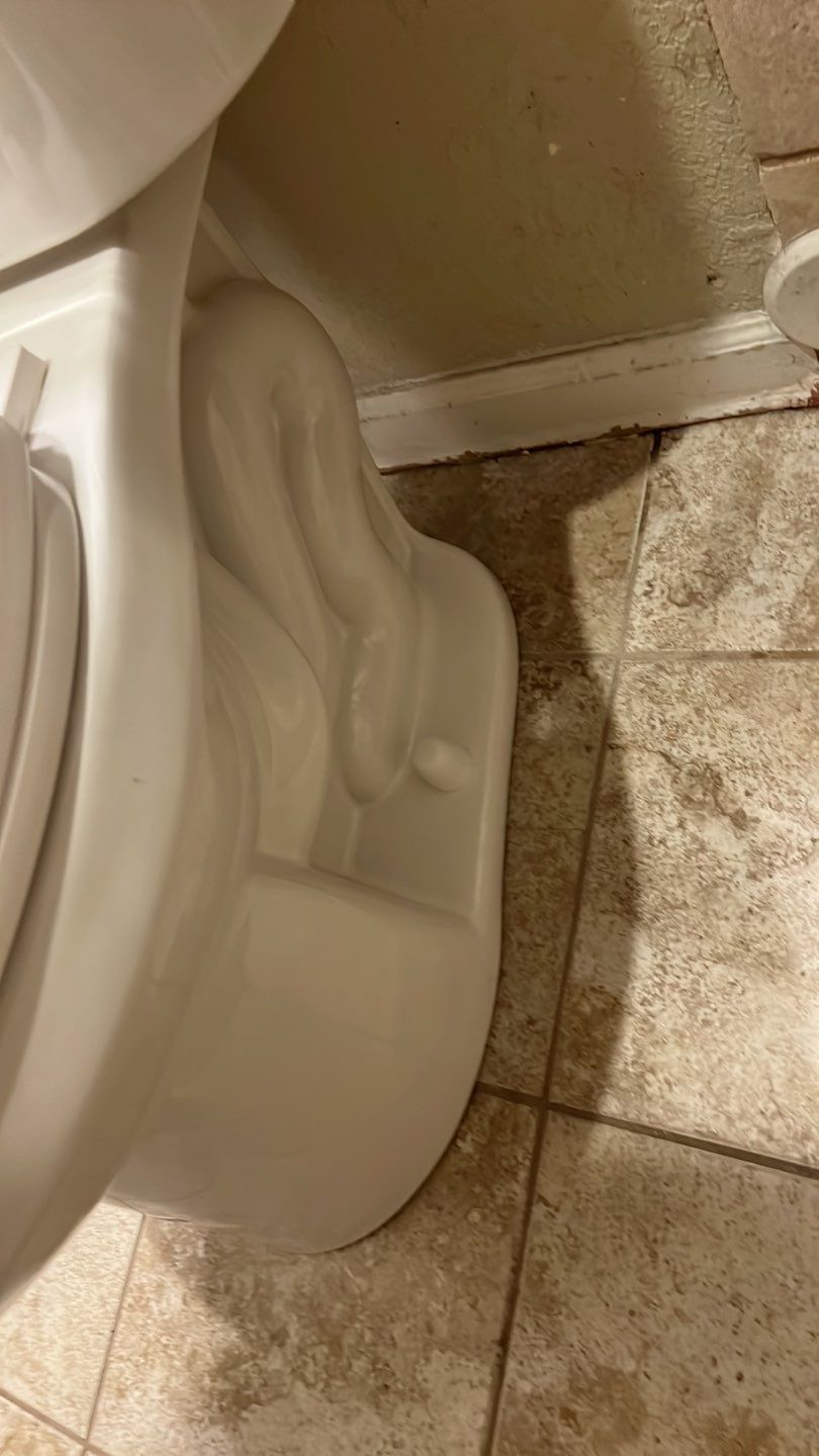 Toilet install and angel valves  by Plumbing Connect Systems LLC