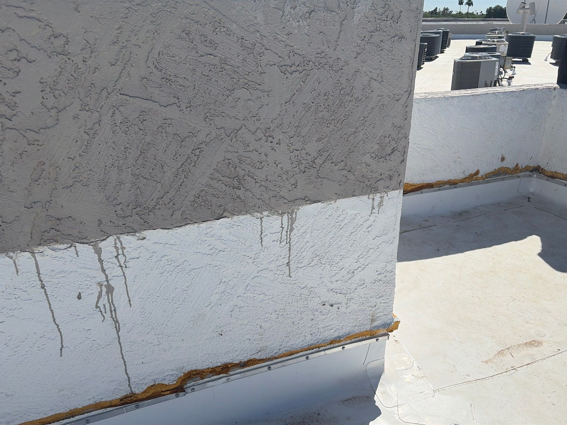 Project in Glendale by Crush Development Services LLC