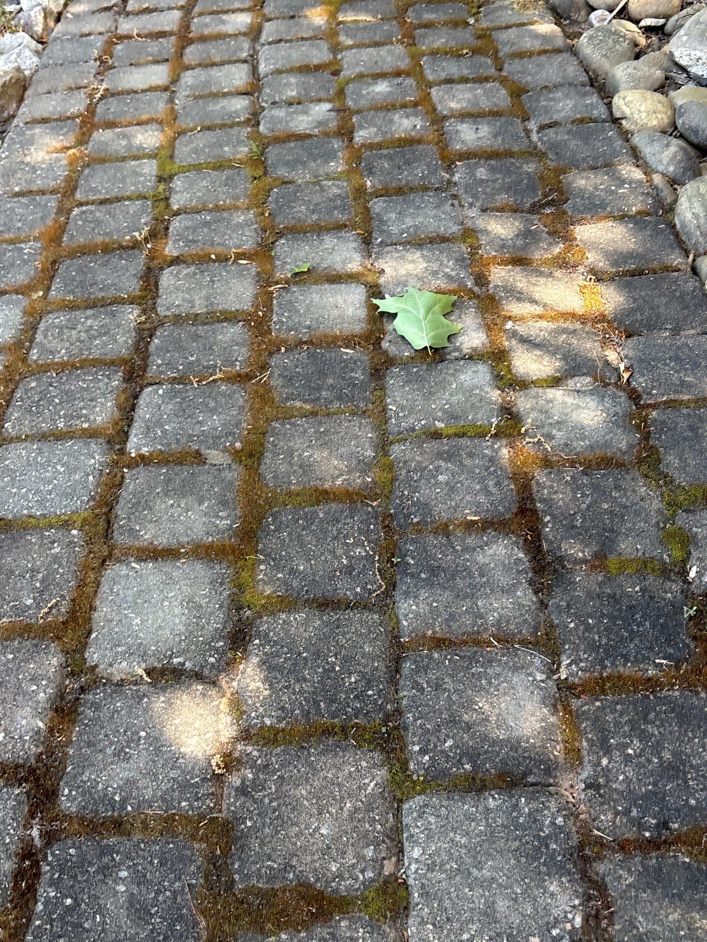 Pavers using Concrete Sealant and PolySand by DuraSeal