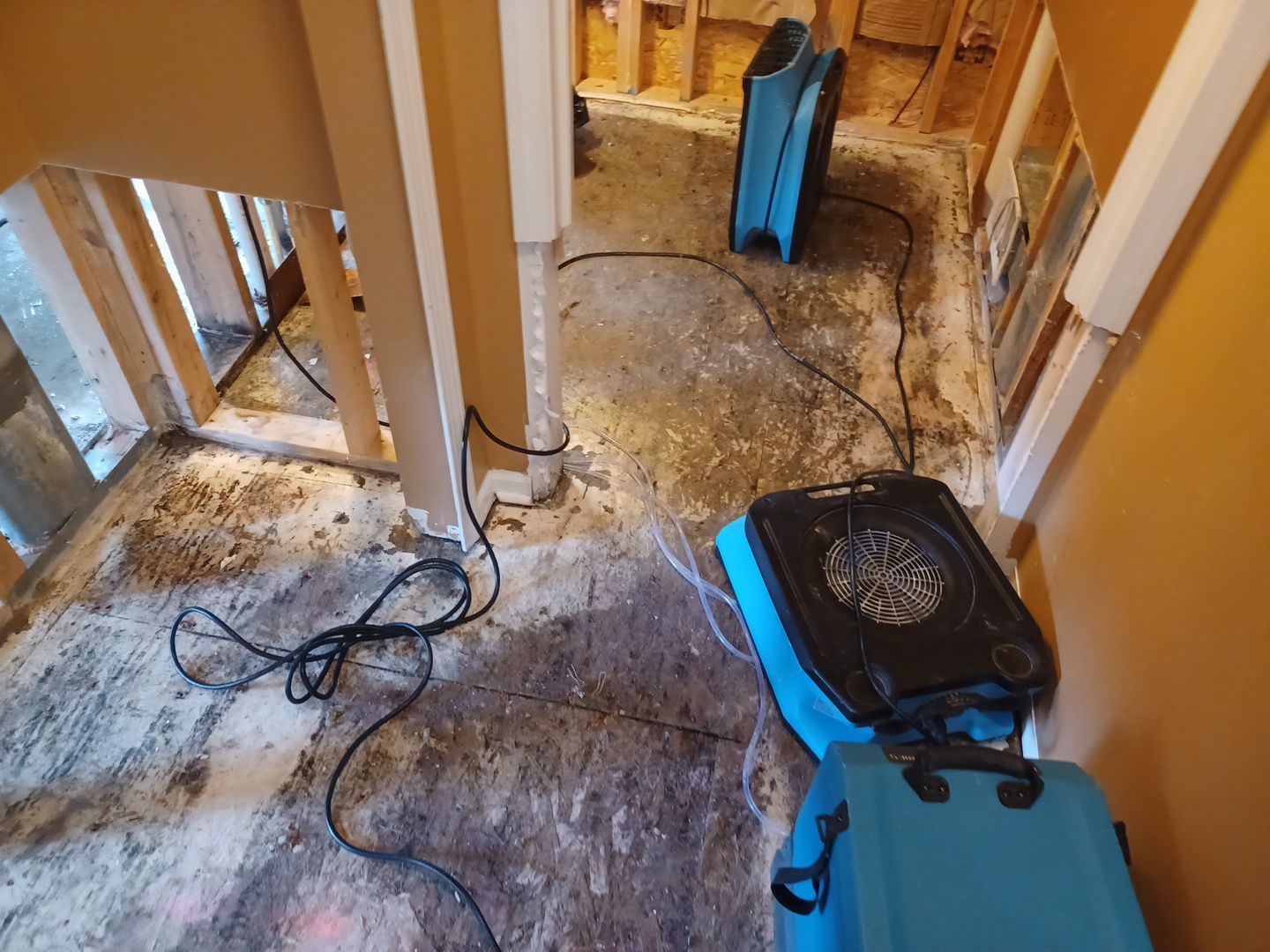 Project in Sterling Heights by EzDry Water Mitigation & Property Restoration