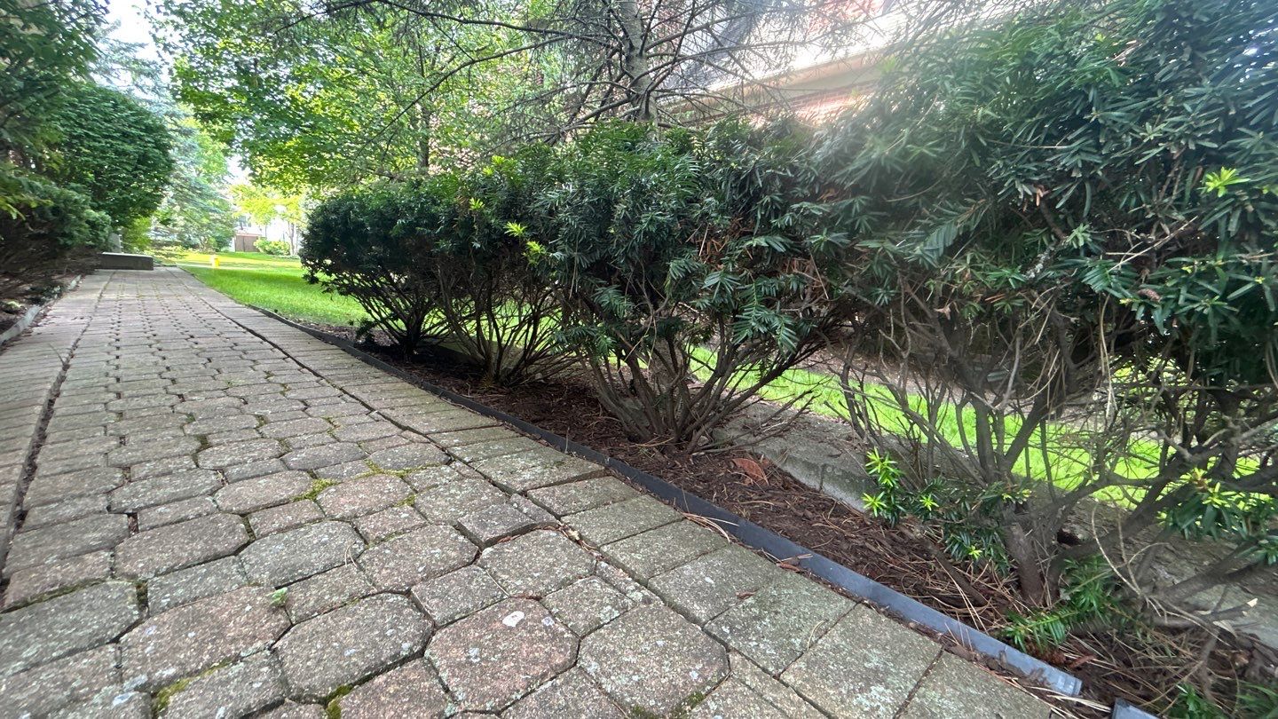 Brick paver repair, clean and seal by Northern Power Washing LLC.