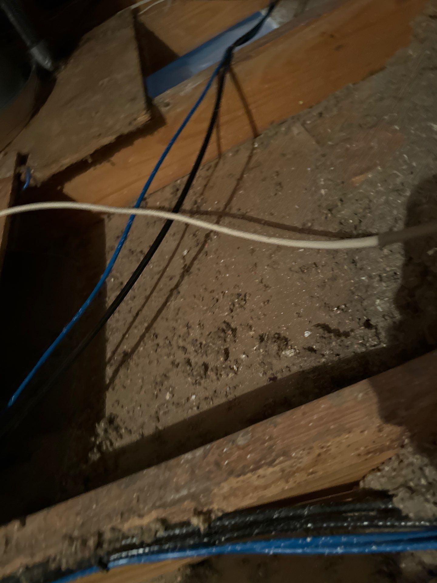 Carlson by Baker's Integrity Restoration and Construction