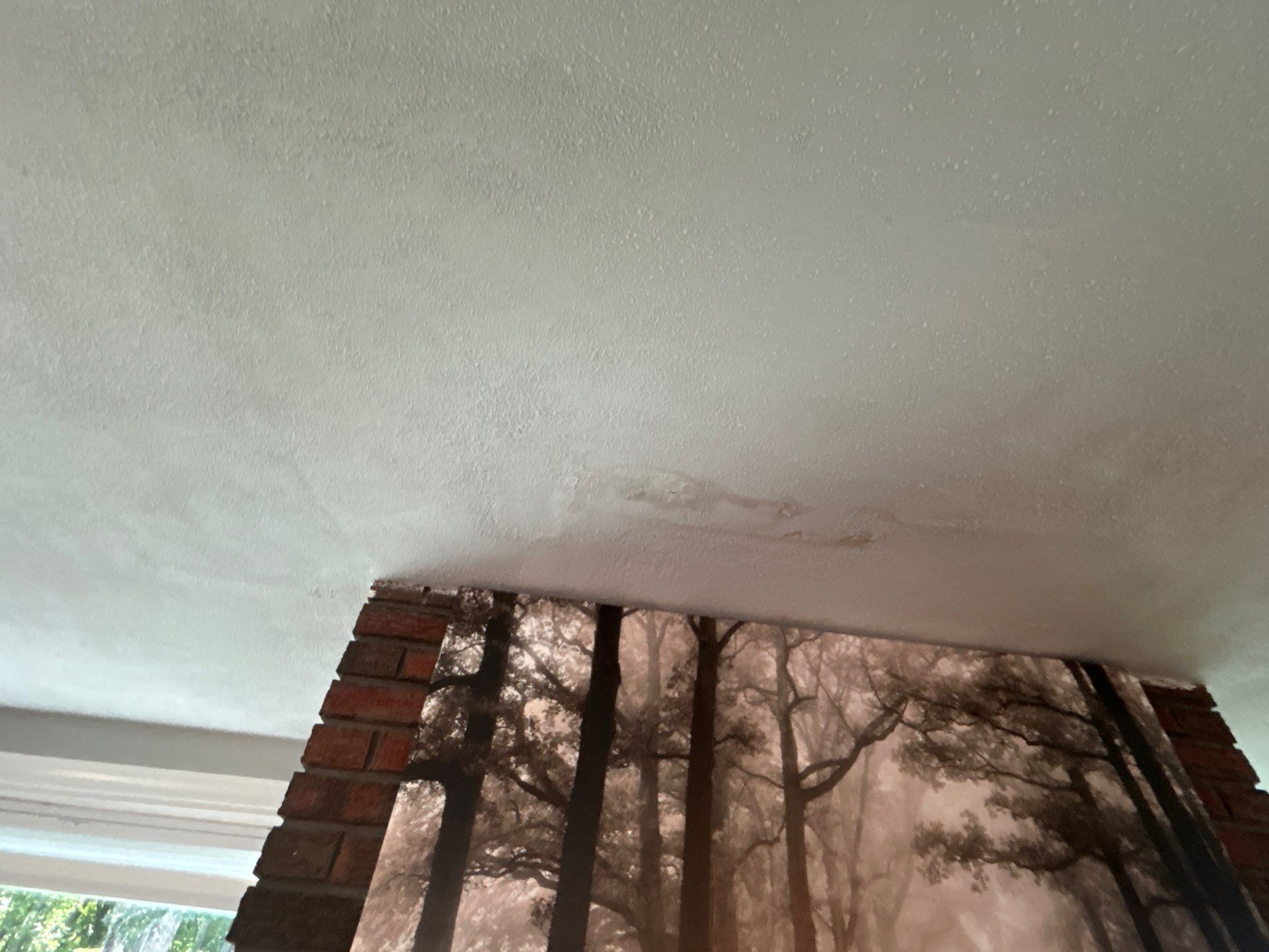 Skylight Replacement & Chimney Repair by Mighty Dog Roofing of Greater Middlesex County