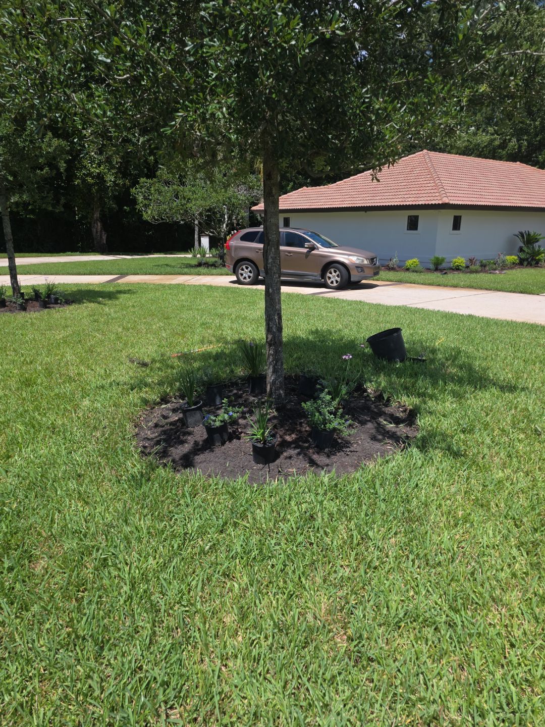 Deerwood Resident | Bed Design & Upgrade by ProGreen Services