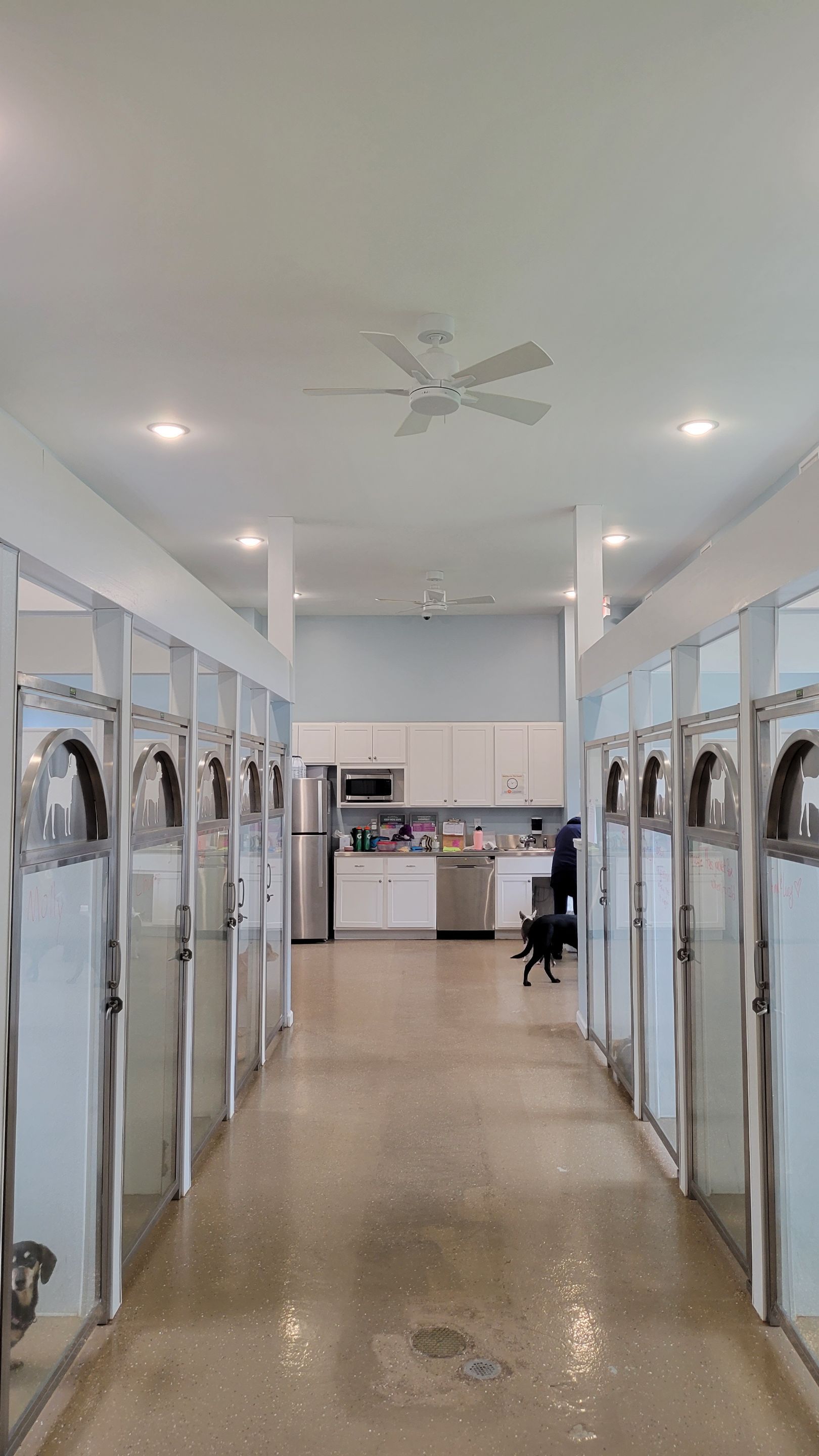 Kennel Floor Coating and Wall Painting using Penntek by Spectrum Painting, LLC