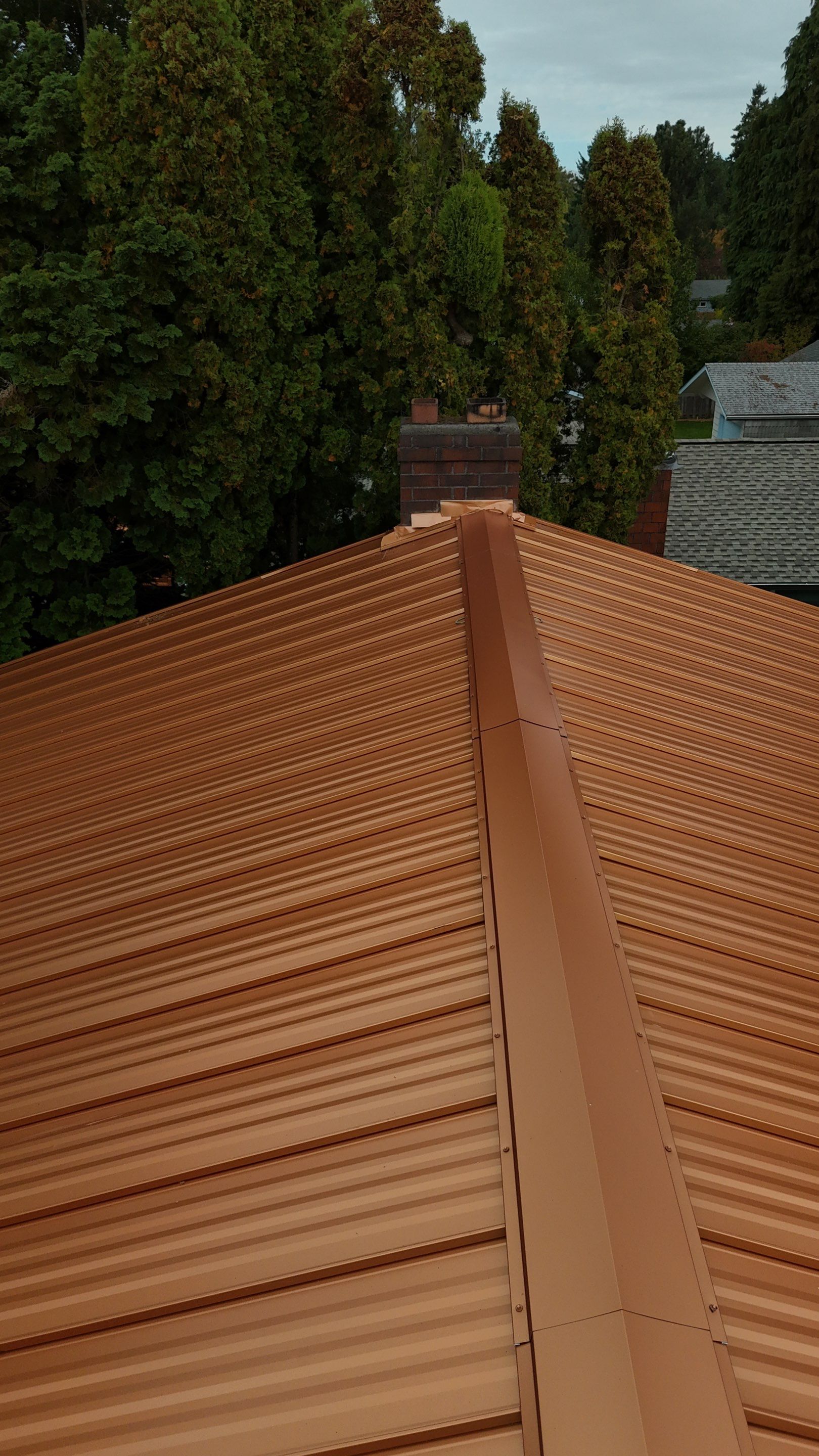 Metal | Roof Replacement in Portland, OR 97206 by Valiant Roofing, LLC