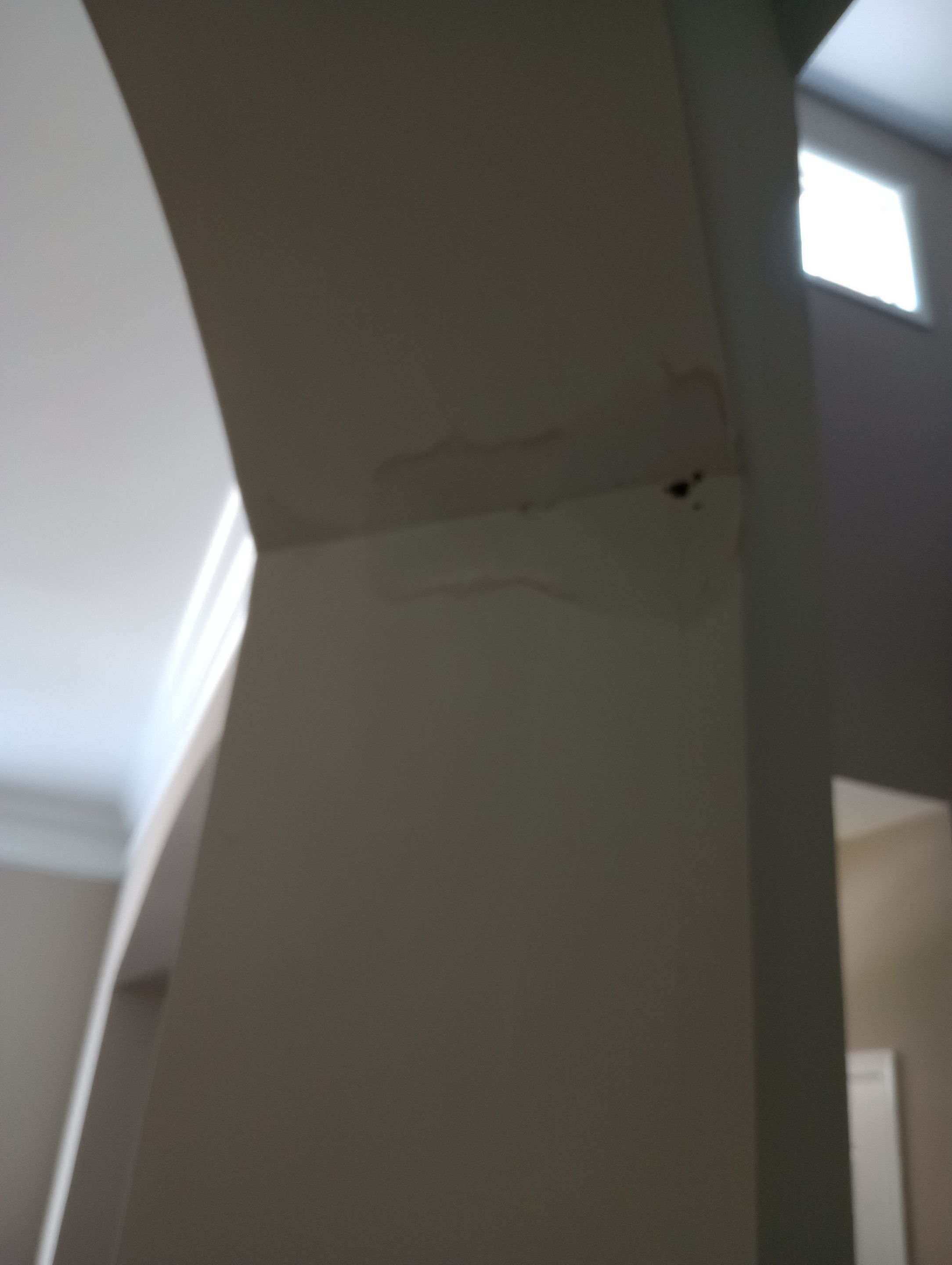Finished Mold Remediation in Louisville, KY by ANR Restoration