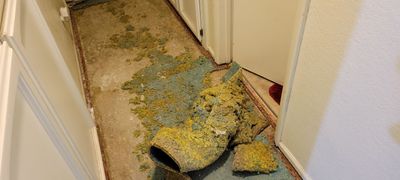 Carpet Padding Replacement and Heavy Carpet Clean