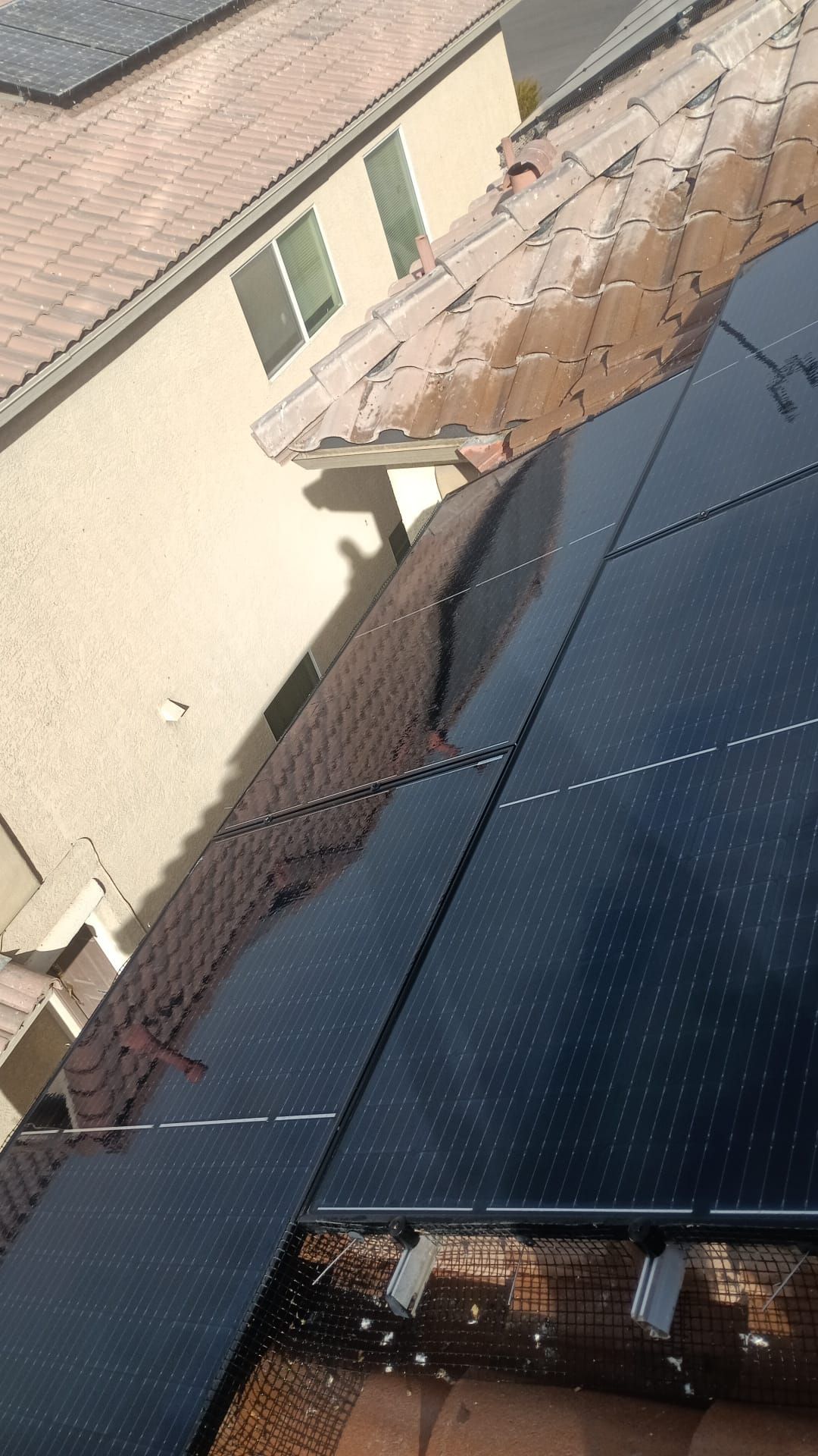 Excessive pigeon problem  by Solar Honest Cleaning 